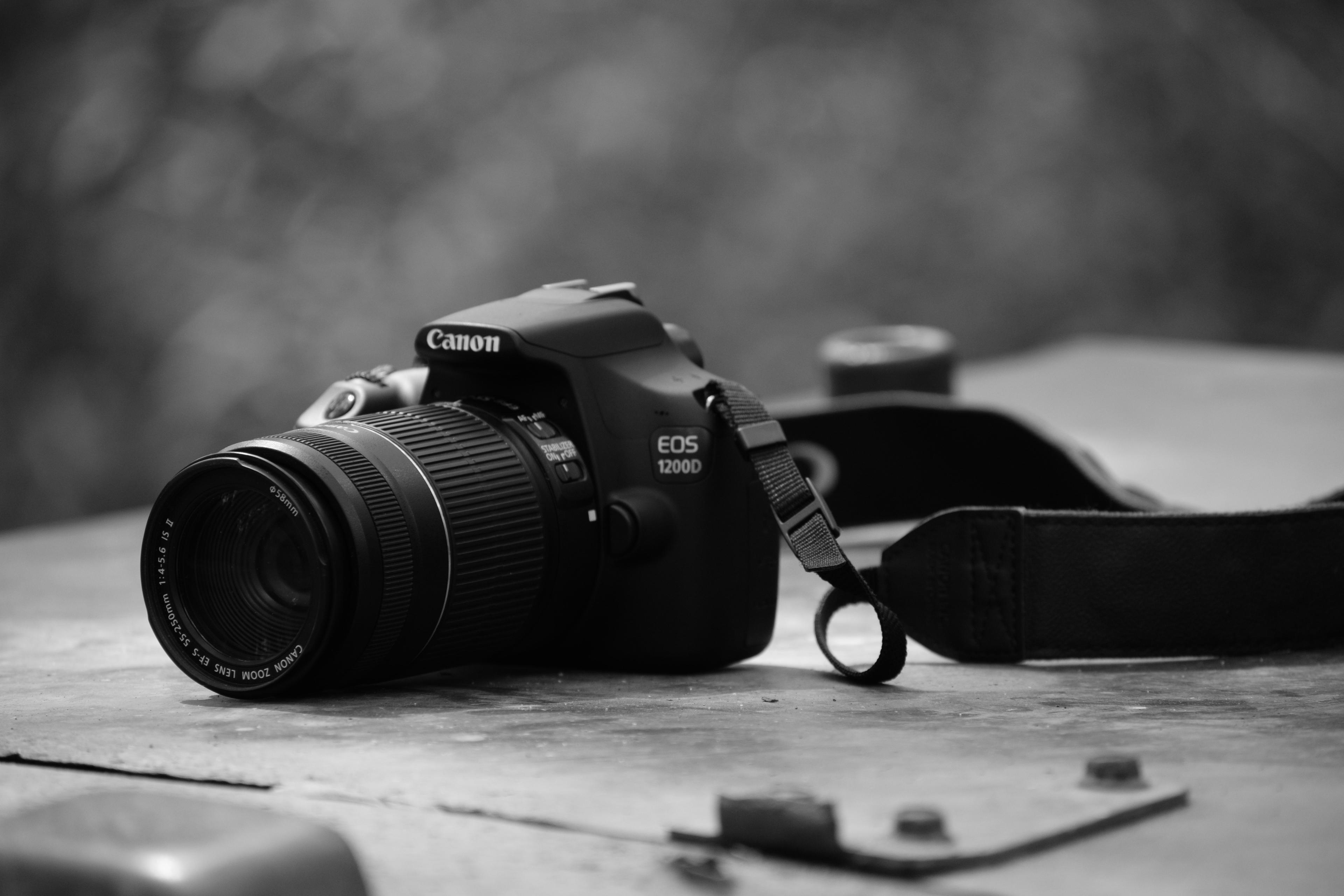 95a0c432-8271-4f0d-8482-35c1183b0a12.jpeg