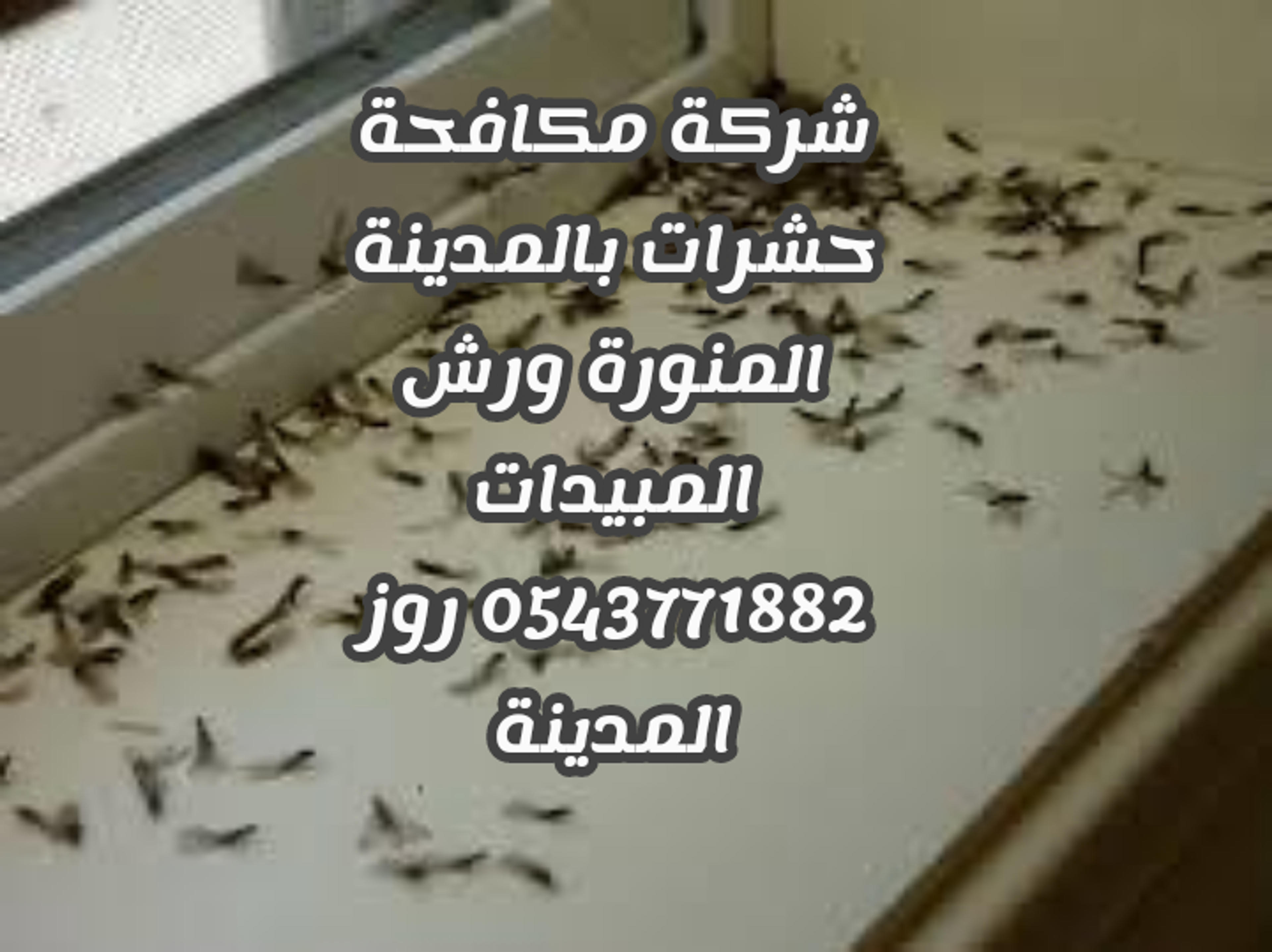 95ed84dd-0e3c-44d9-bb4b-7010c4348484.png