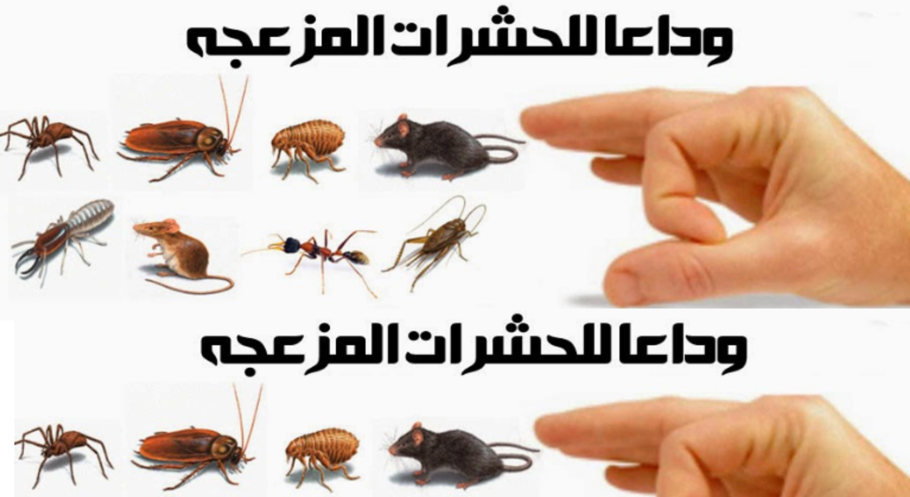 968aab39-0625-41b7-9fa5-abdcc03923dd.png