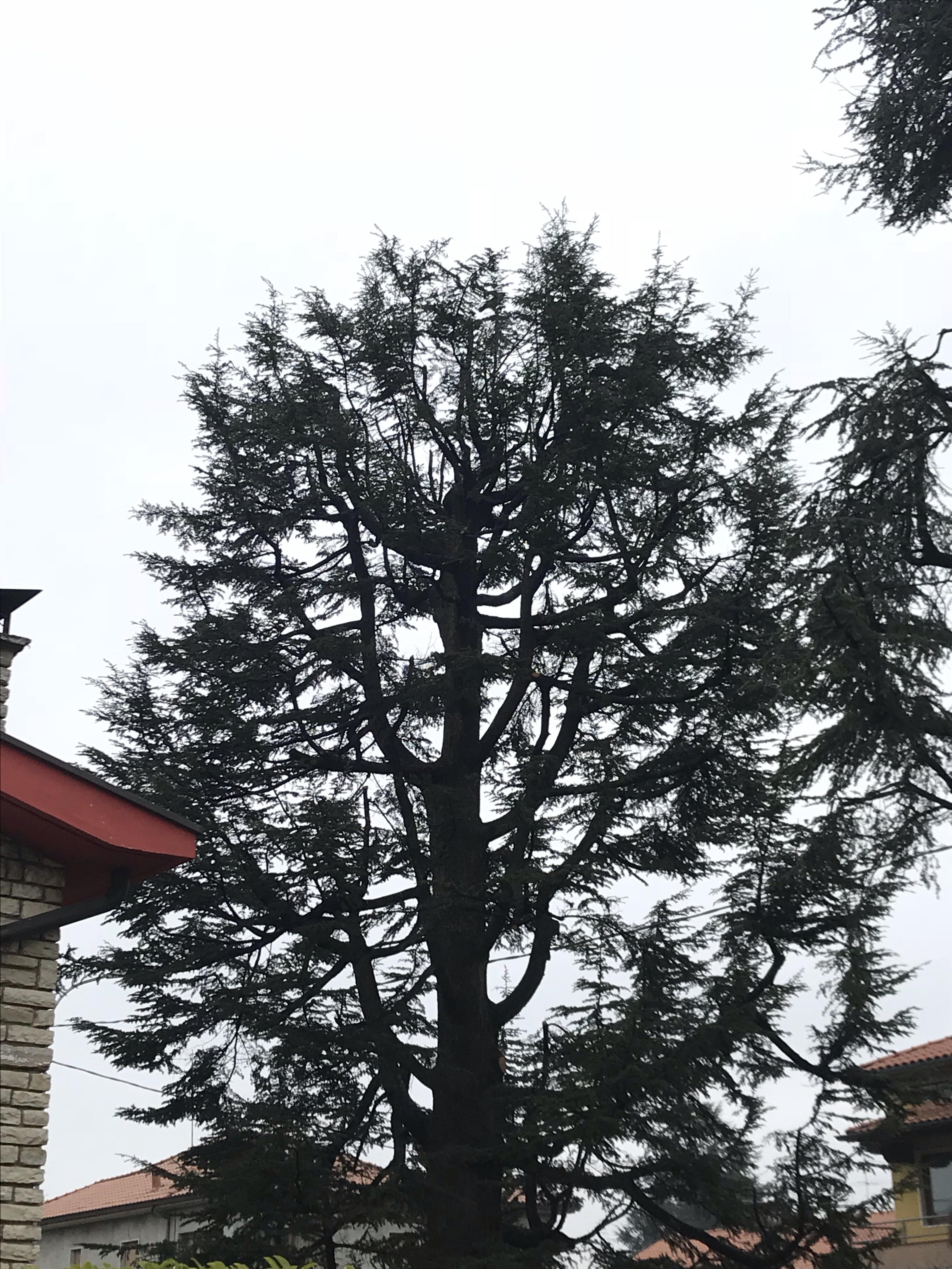 96bf93d2-9c97-488b-8bad-9590cbe0de21.jpeg