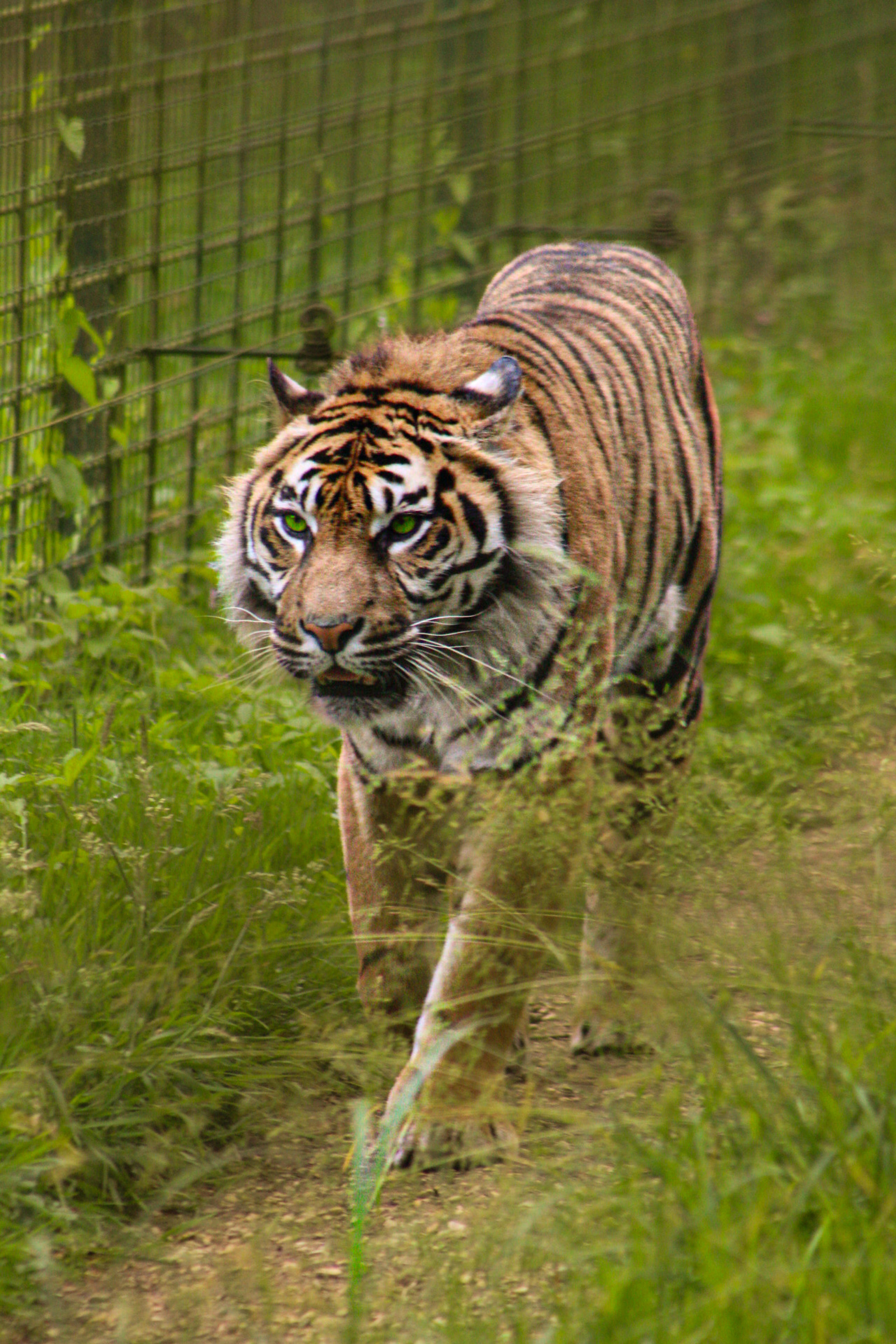 96e87b22-0053-453f-86c0-673691b50d1a.jpeg