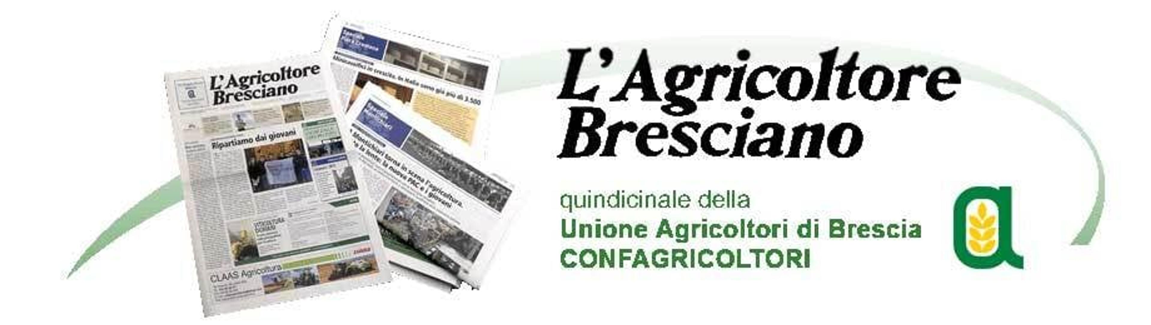 970a1a2e-9cf7-4d8e-afca-877519887b82.jpeg