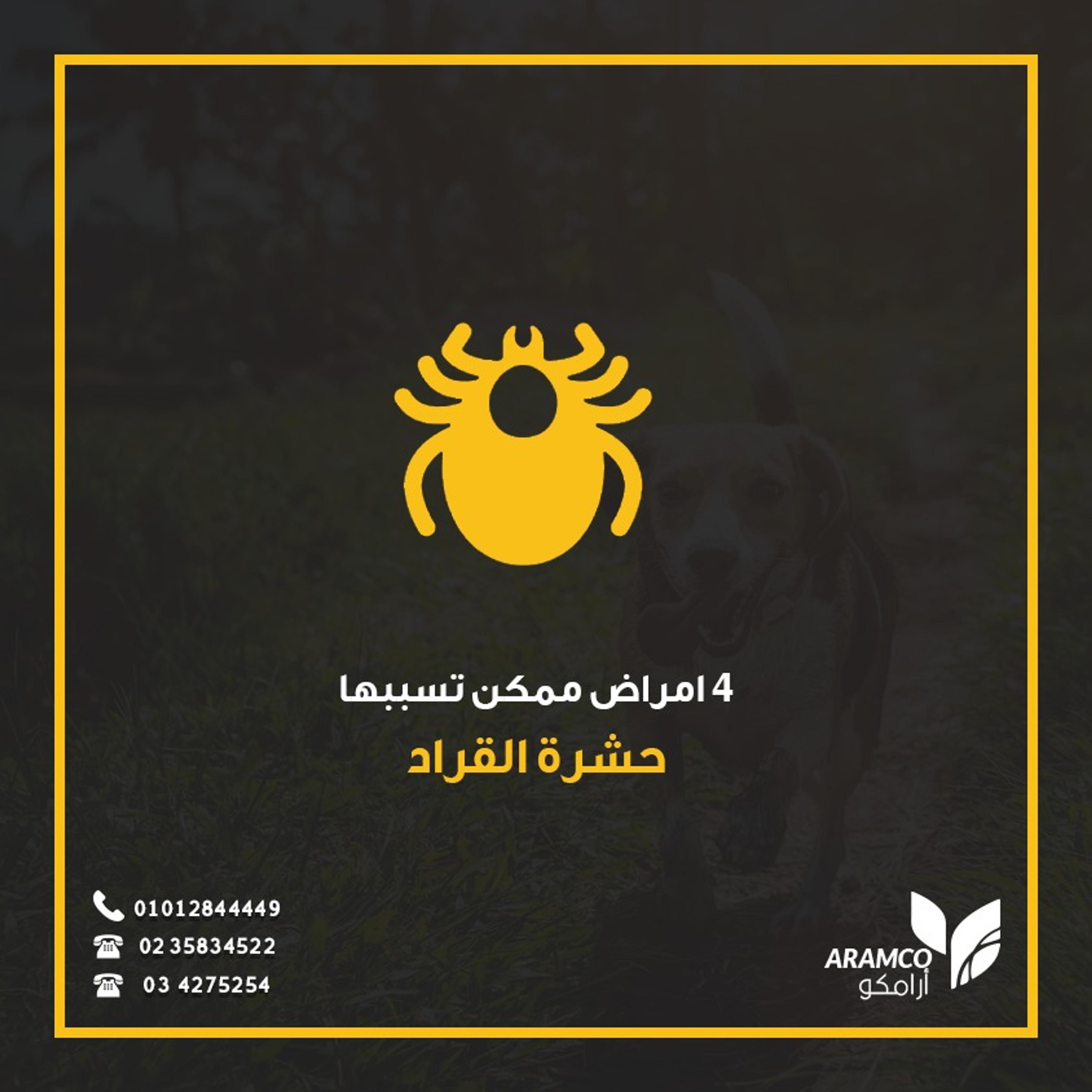 972b853d-2bb0-461d-b1b1-22aacf35b8b0.jpeg