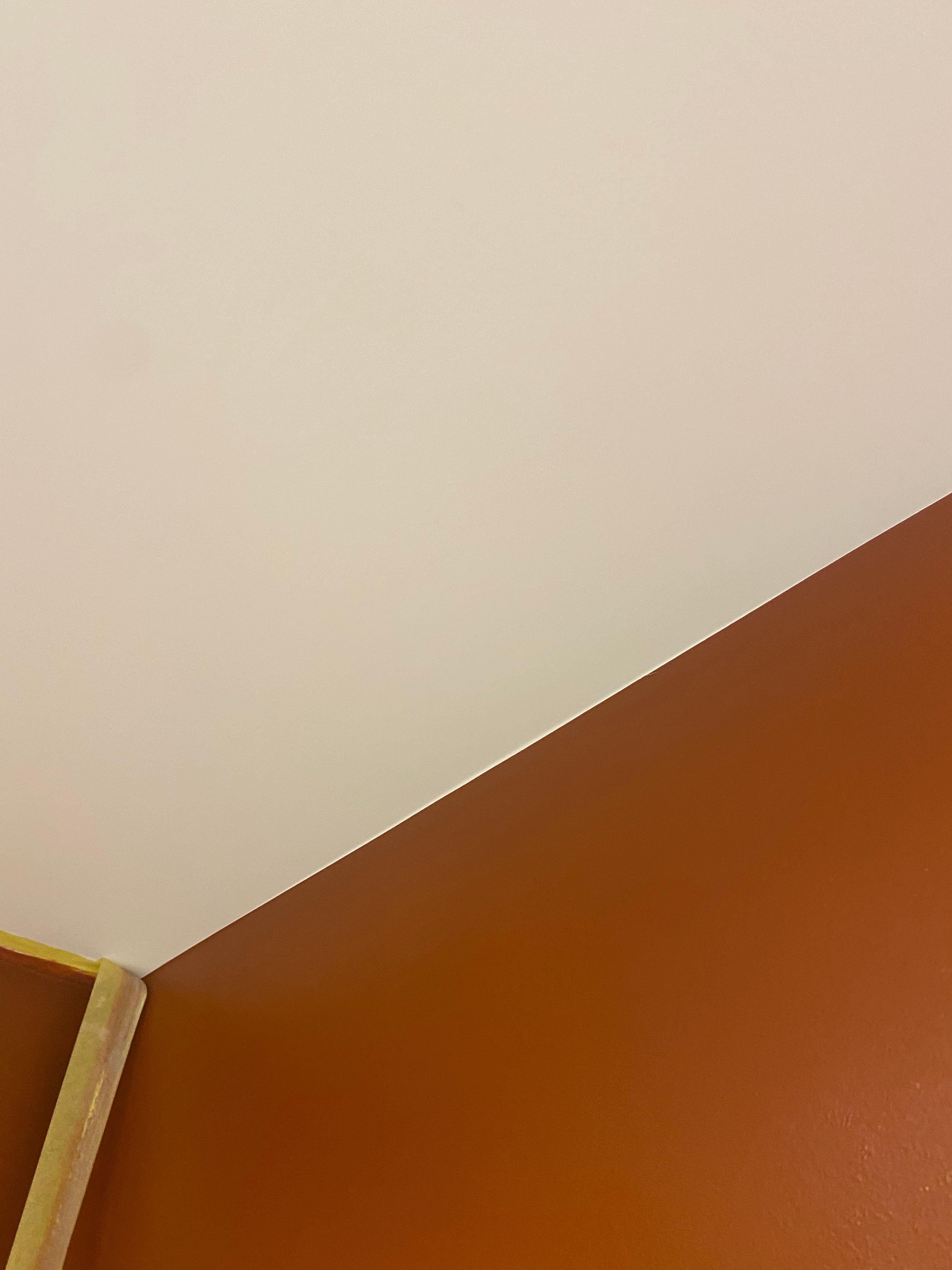 97416777-65e1-41ff-b67e-b010609e1cb8.jpeg
