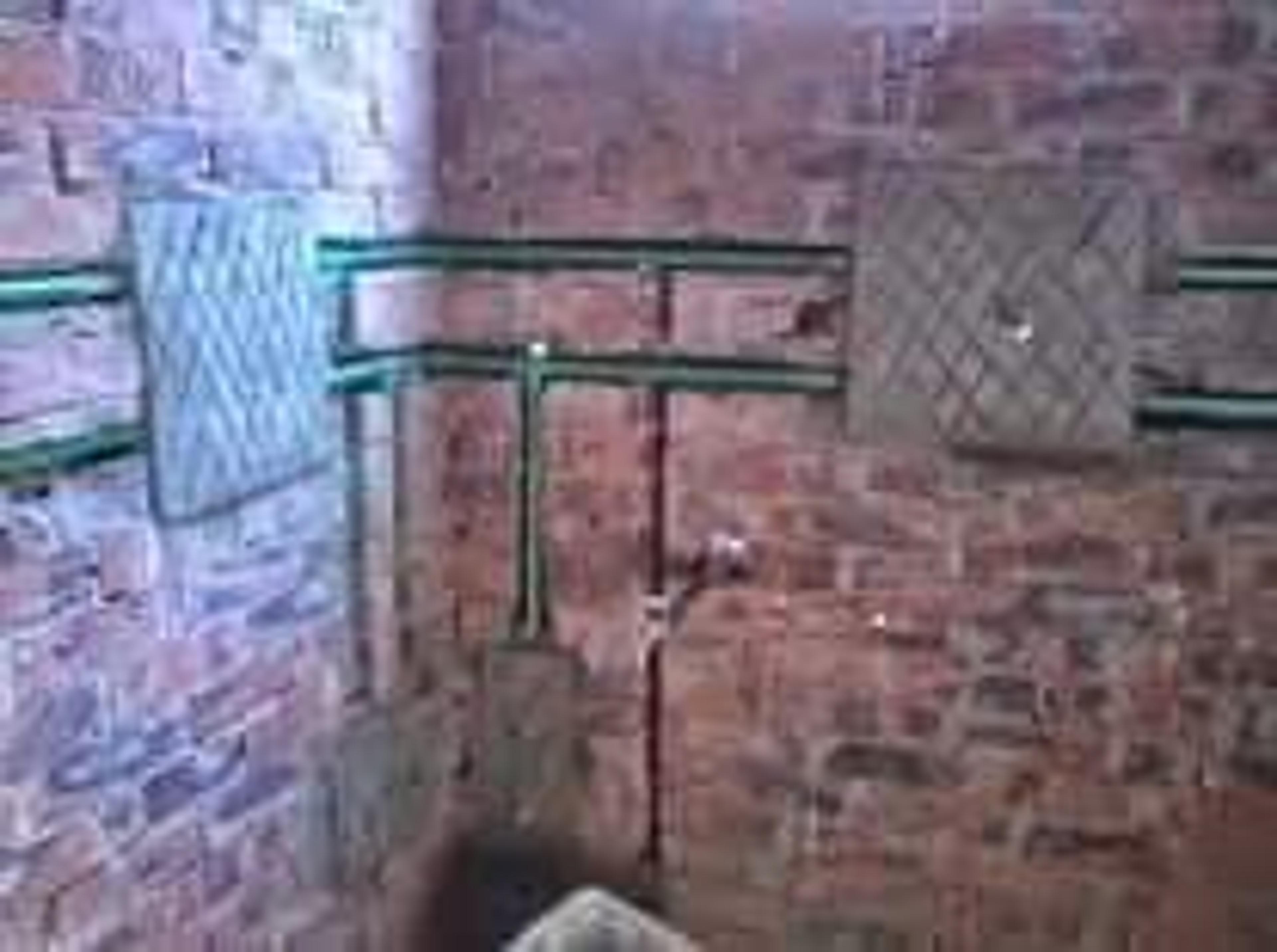 977d6240-e8db-462e-be84-5ba6215a3913.jpeg