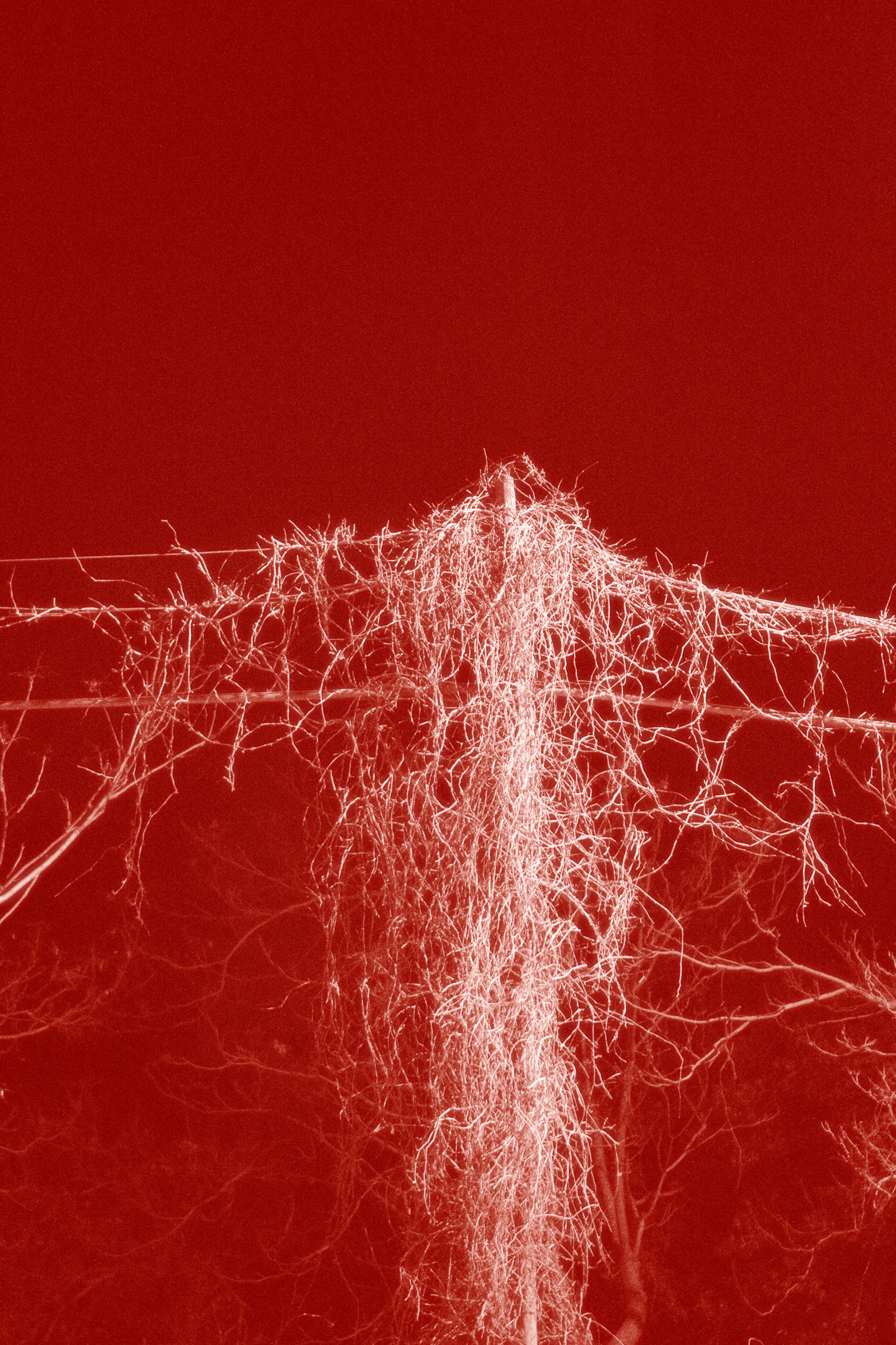 97a26569-859d-4d94-aec7-53e68361e08c.jpeg