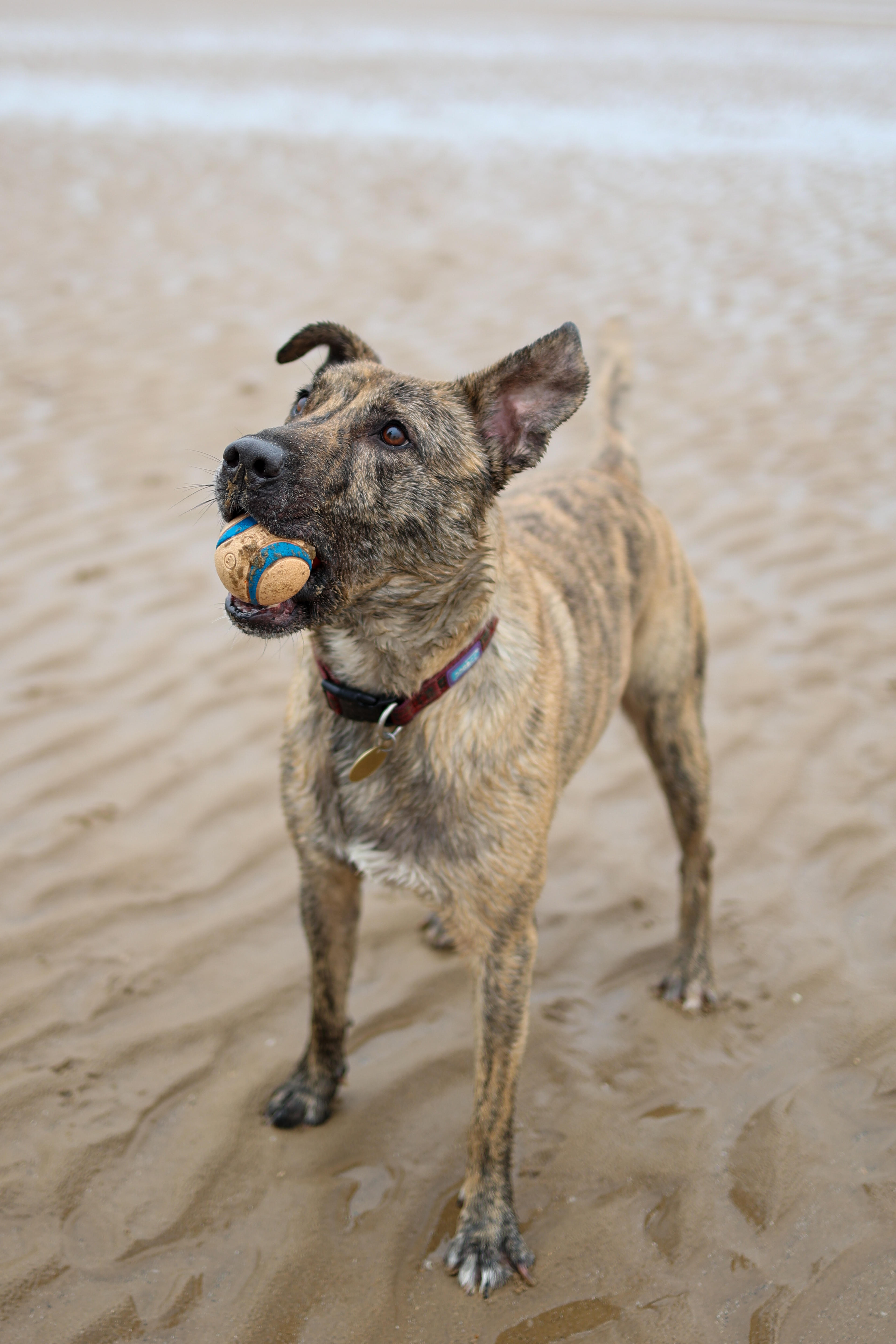 994e0015-8ad0-4899-80a3-831dc9961343.jpeg