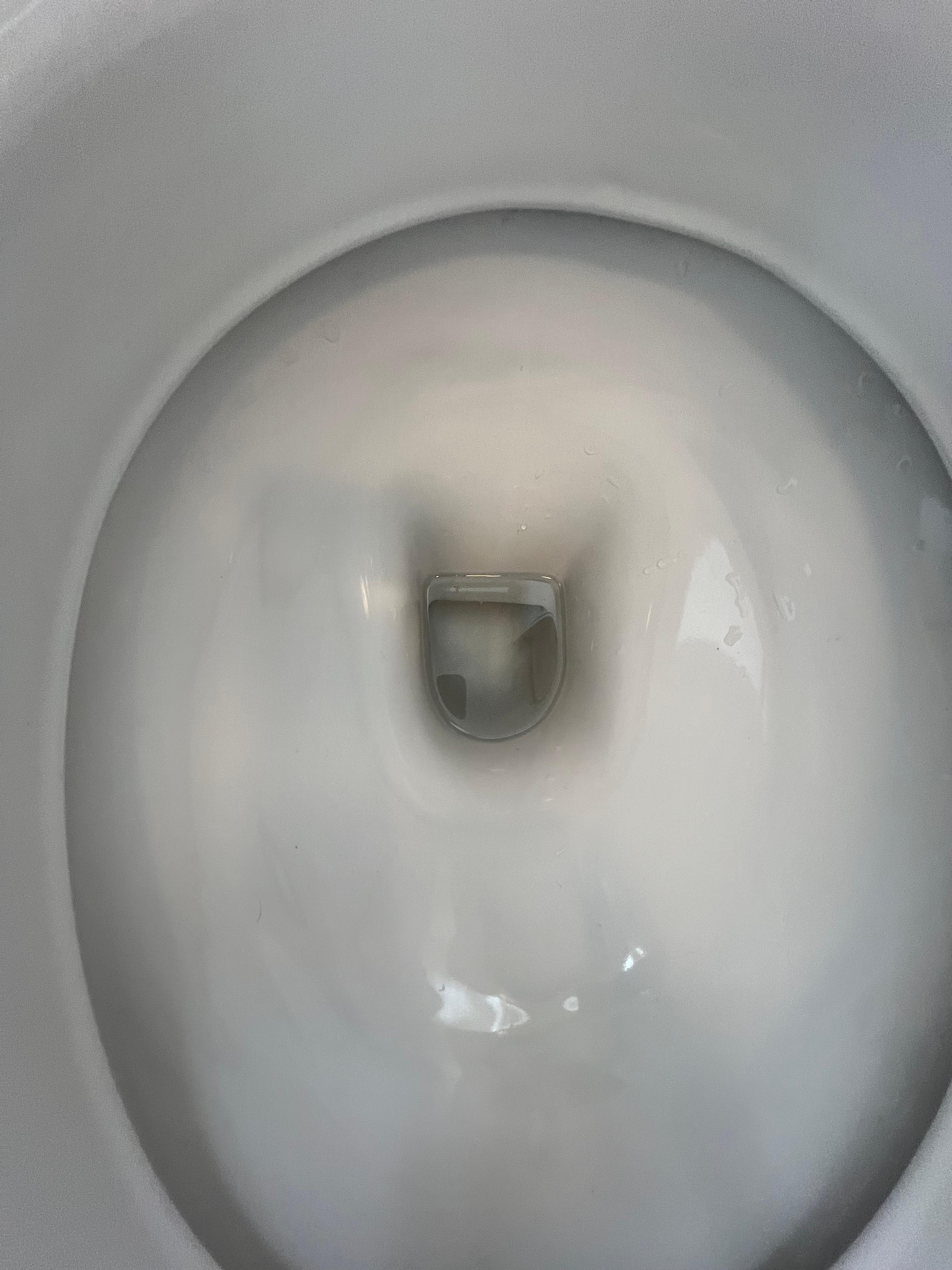 9a1aedea-fd28-4acd-803f-0c4ac220c3ed.jpeg