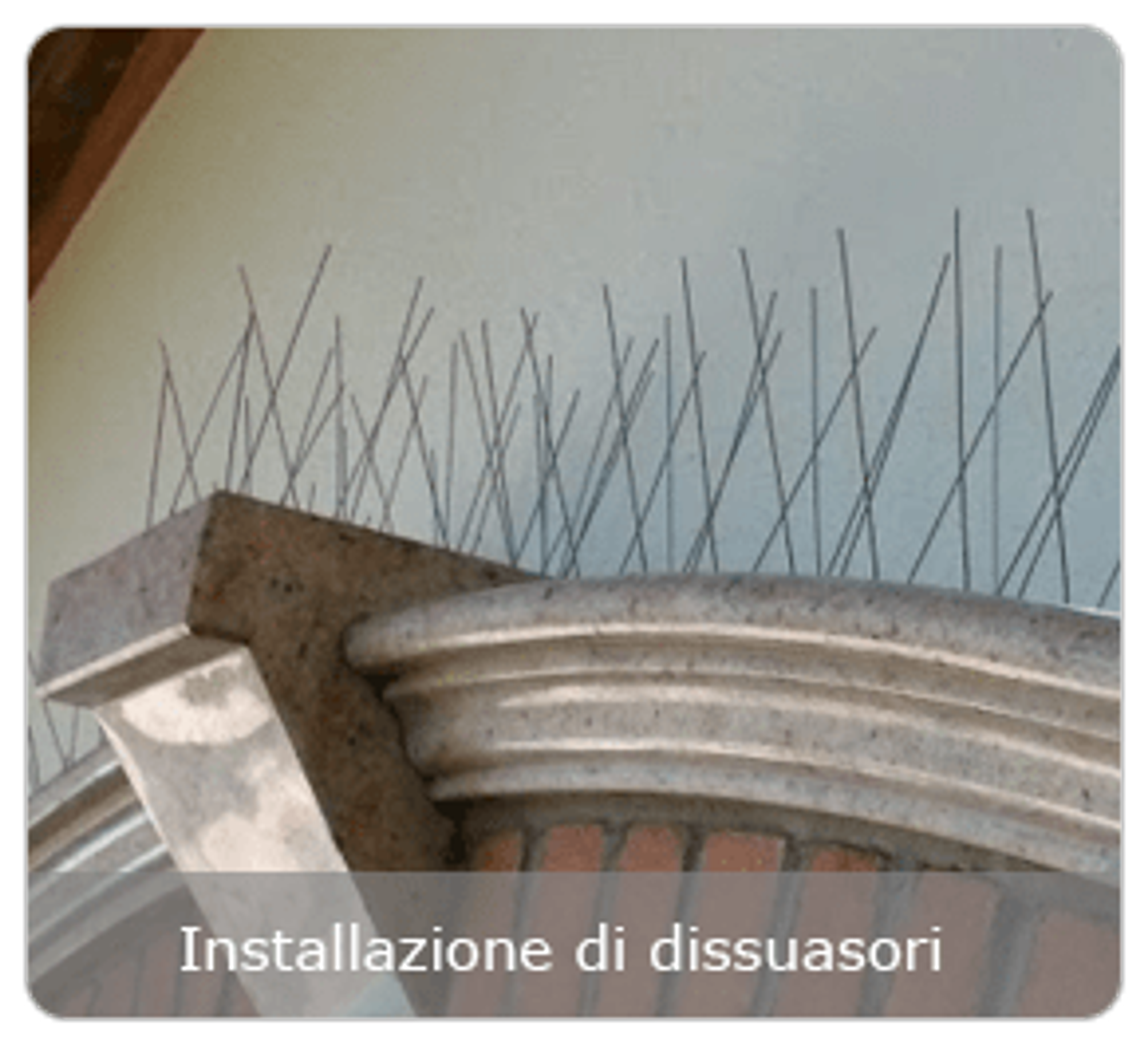9a704d66-e3ba-4521-be57-058f6077a2de.png