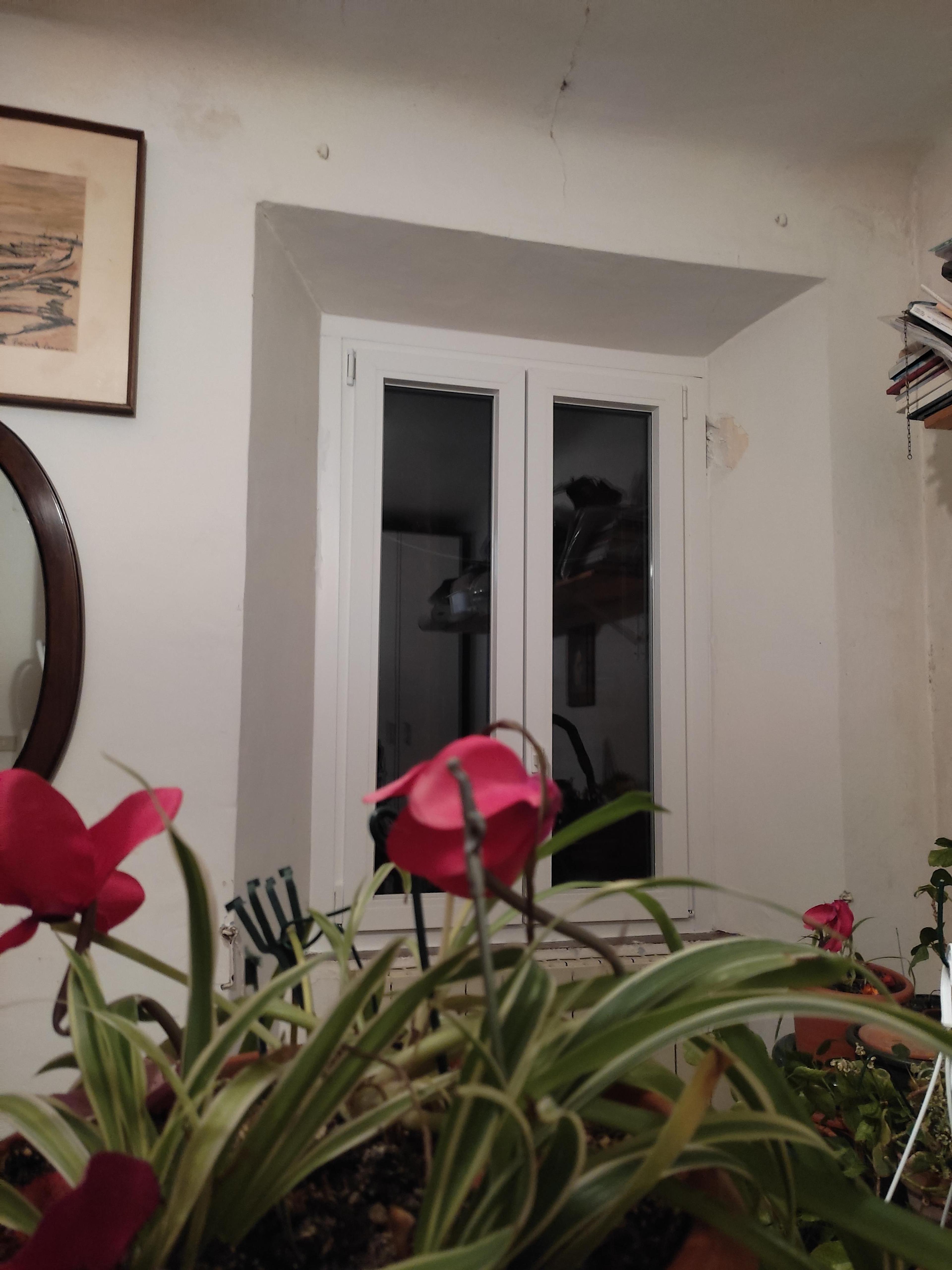 9a794219-3a32-4f39-b246-4d17f19677fe.jpeg