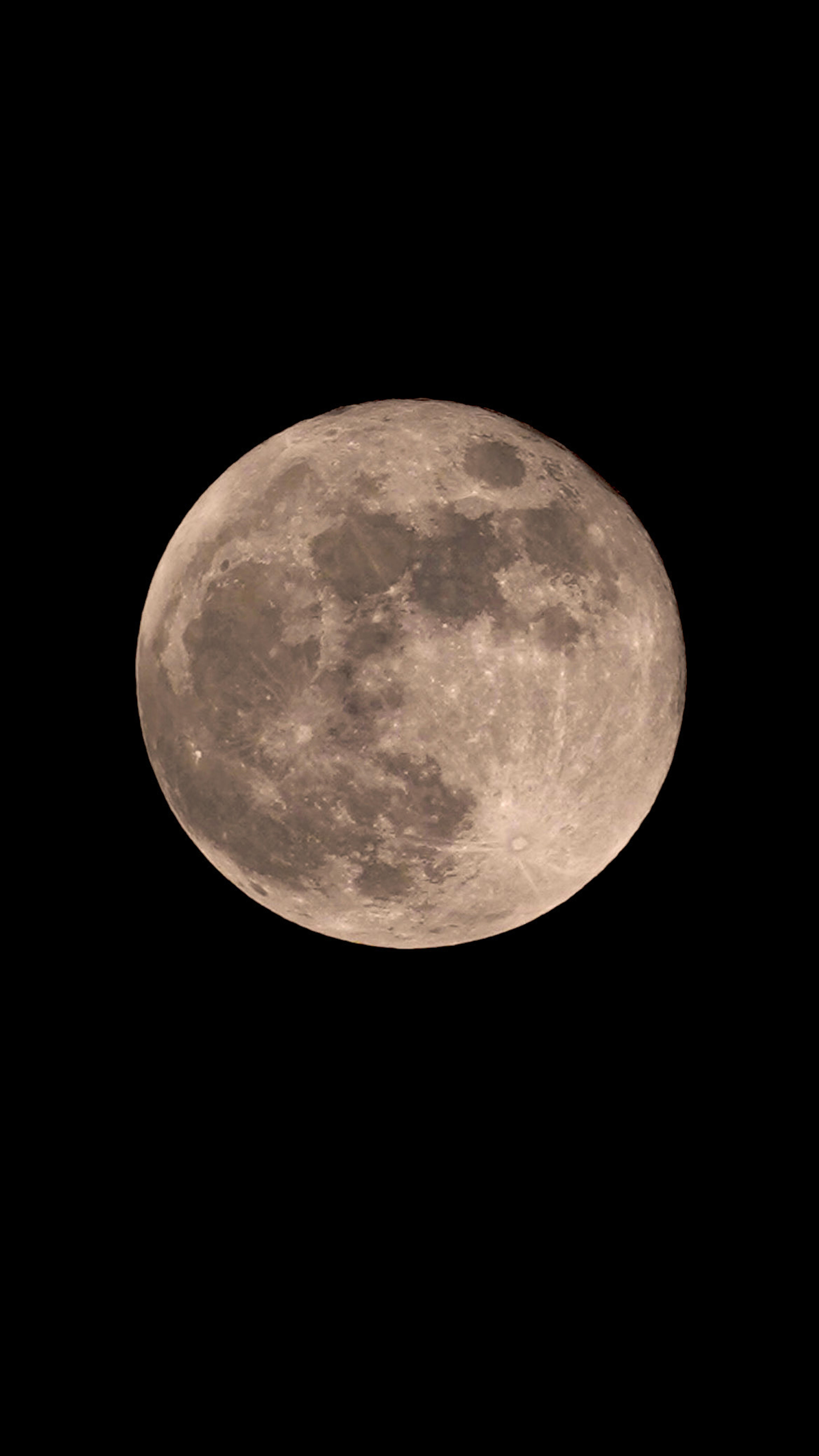 9a795ff1-4ff2-4542-a1f4-de573337cf54.jpeg