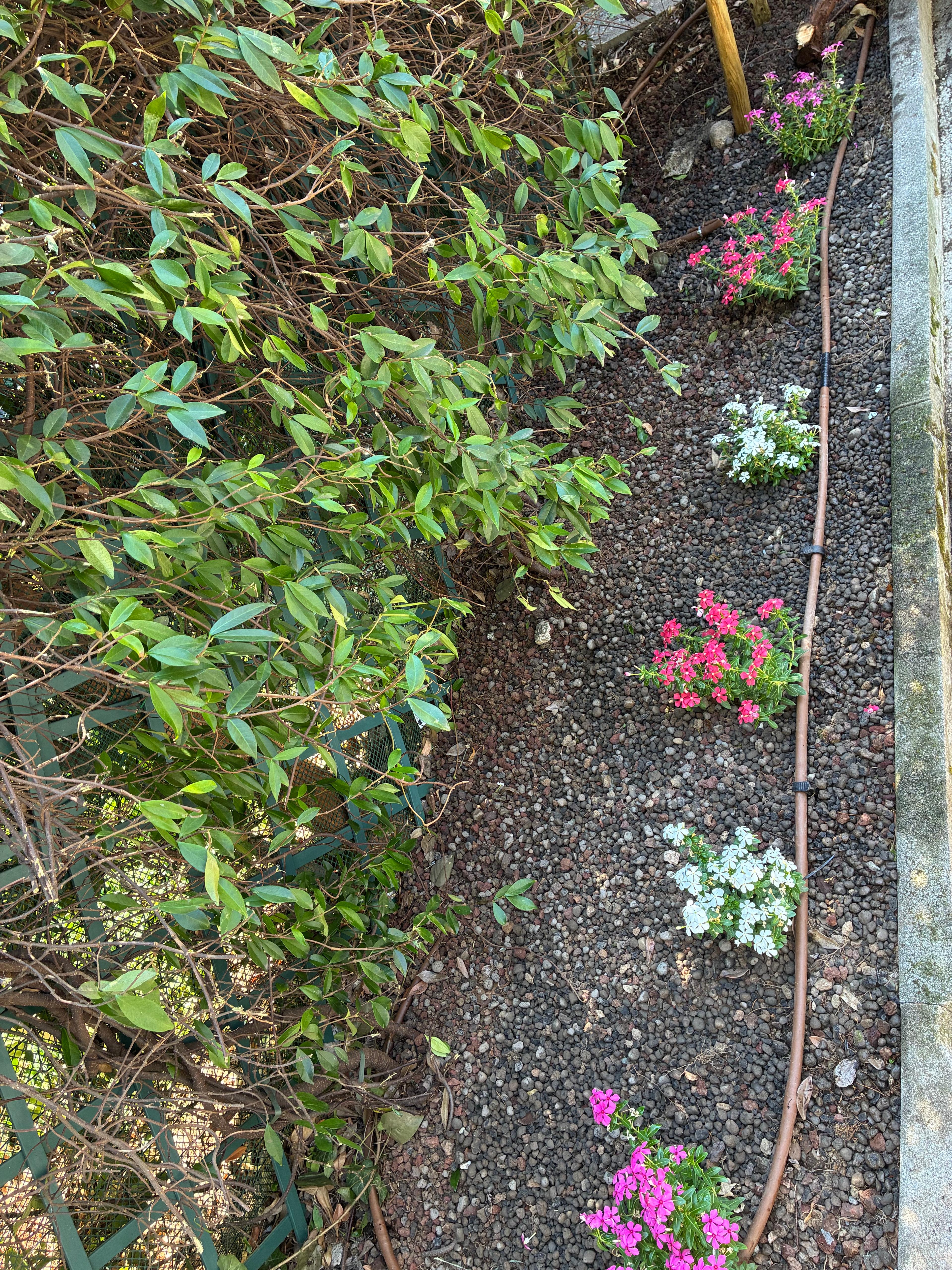 9aa0490b-e342-4181-bca7-6ff6039092ac.jpeg