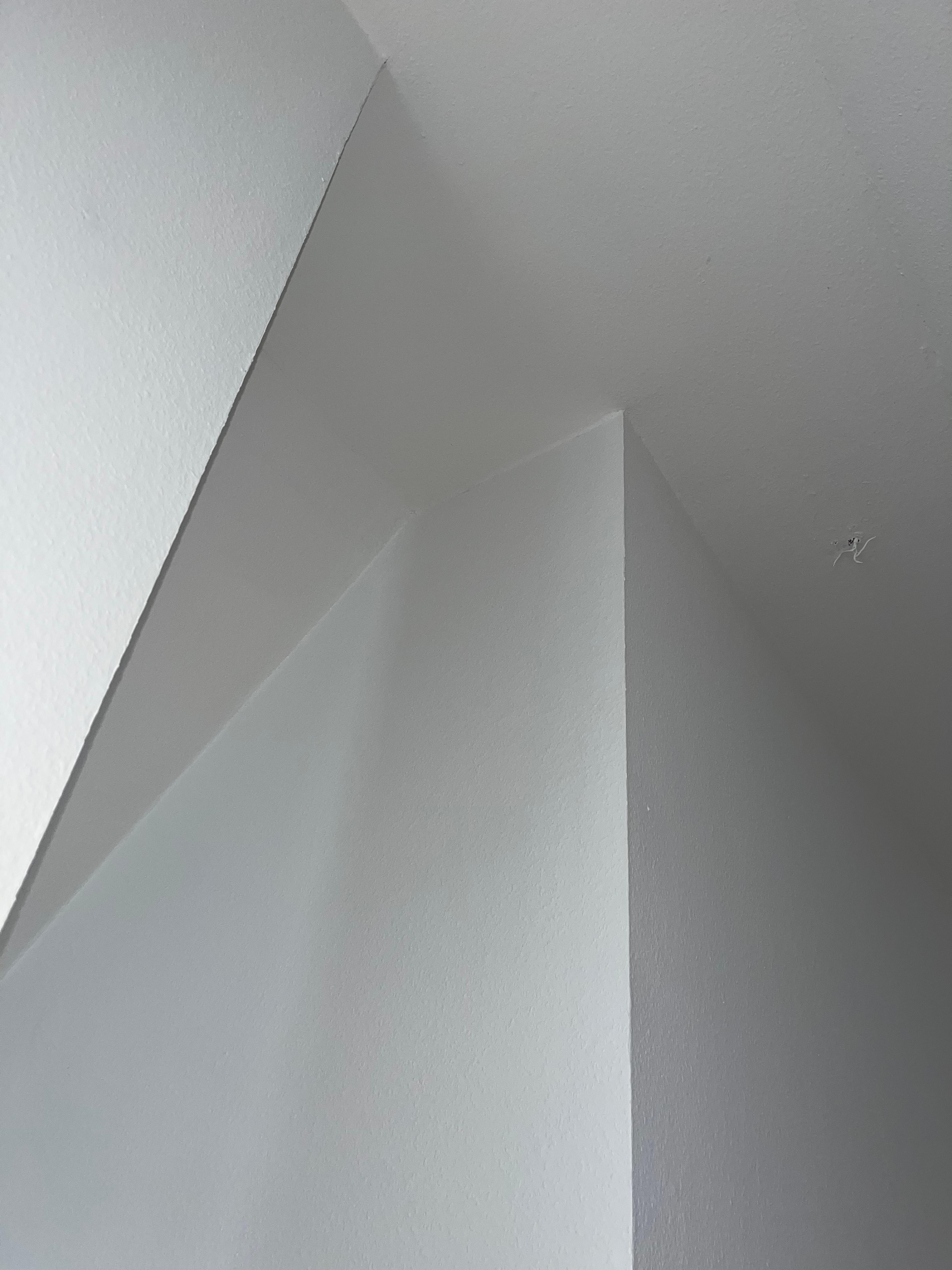 9adc41ec-f708-4e91-88c7-5ebabedb18e5.jpeg