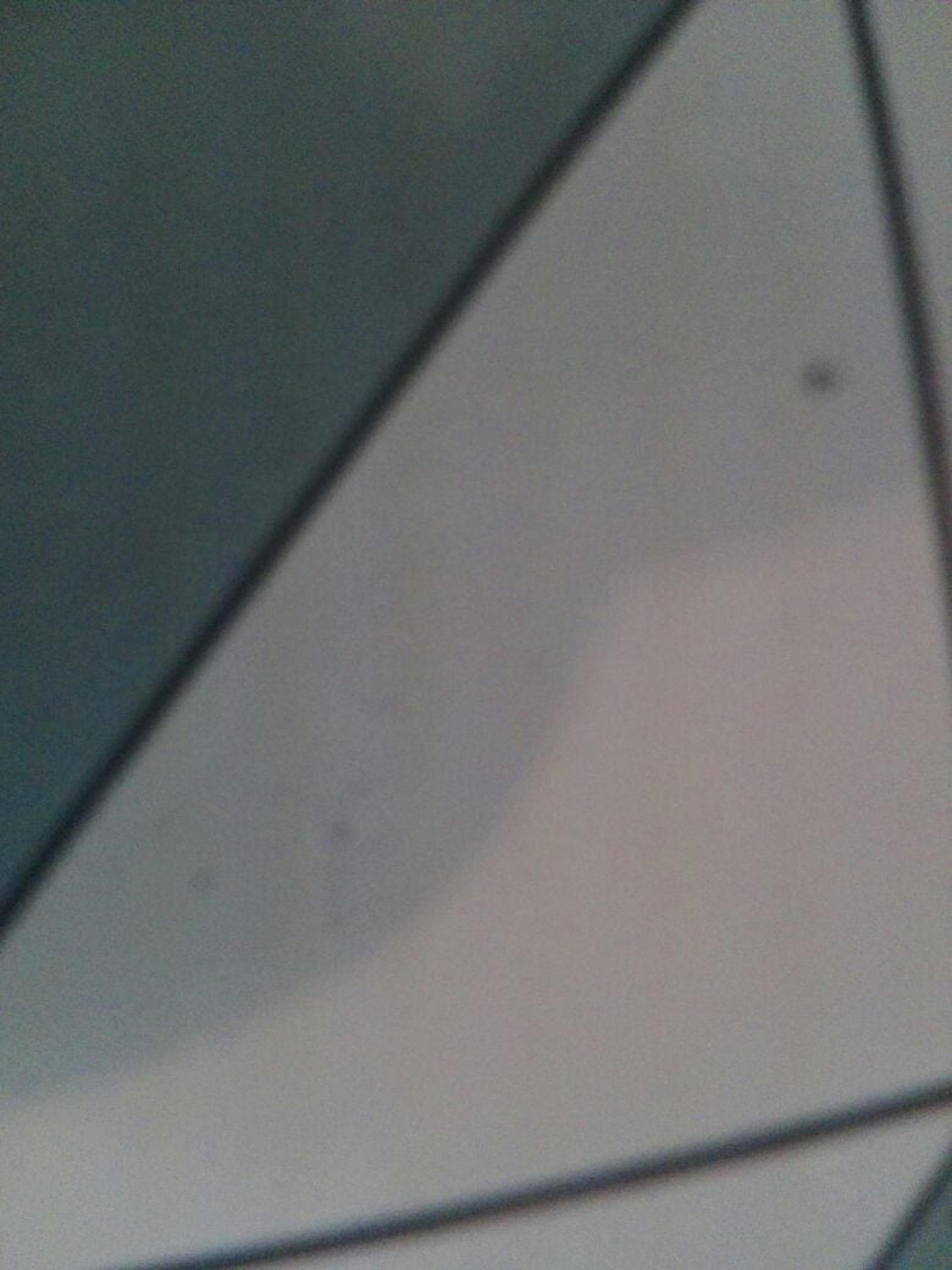 9b0042ee-9d6f-4e60-9d5b-1b2bf3e2b6bf.jpeg