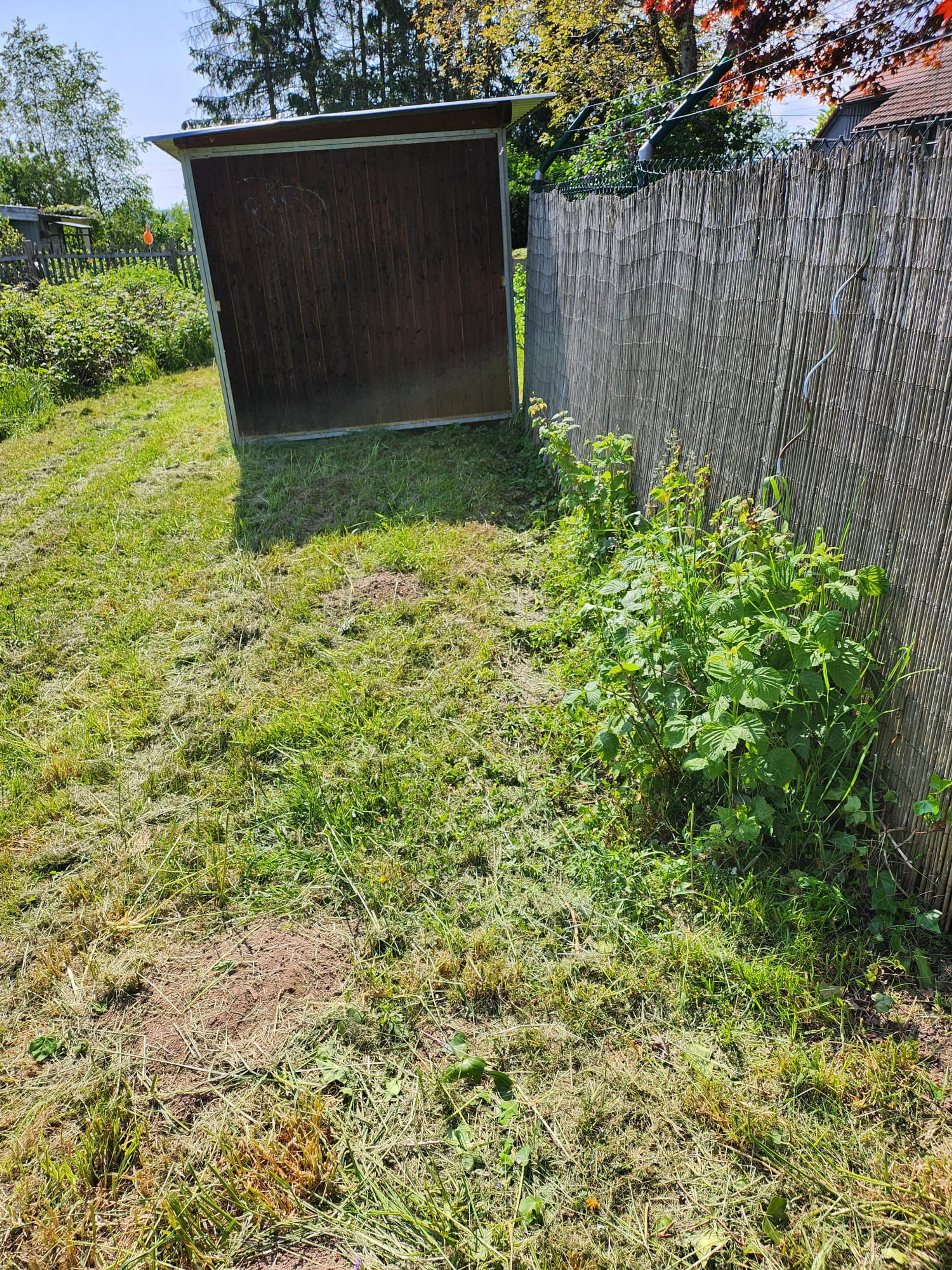 9b0361a4-cc9e-45dd-a1ba-d303a7d2412e.jpeg
