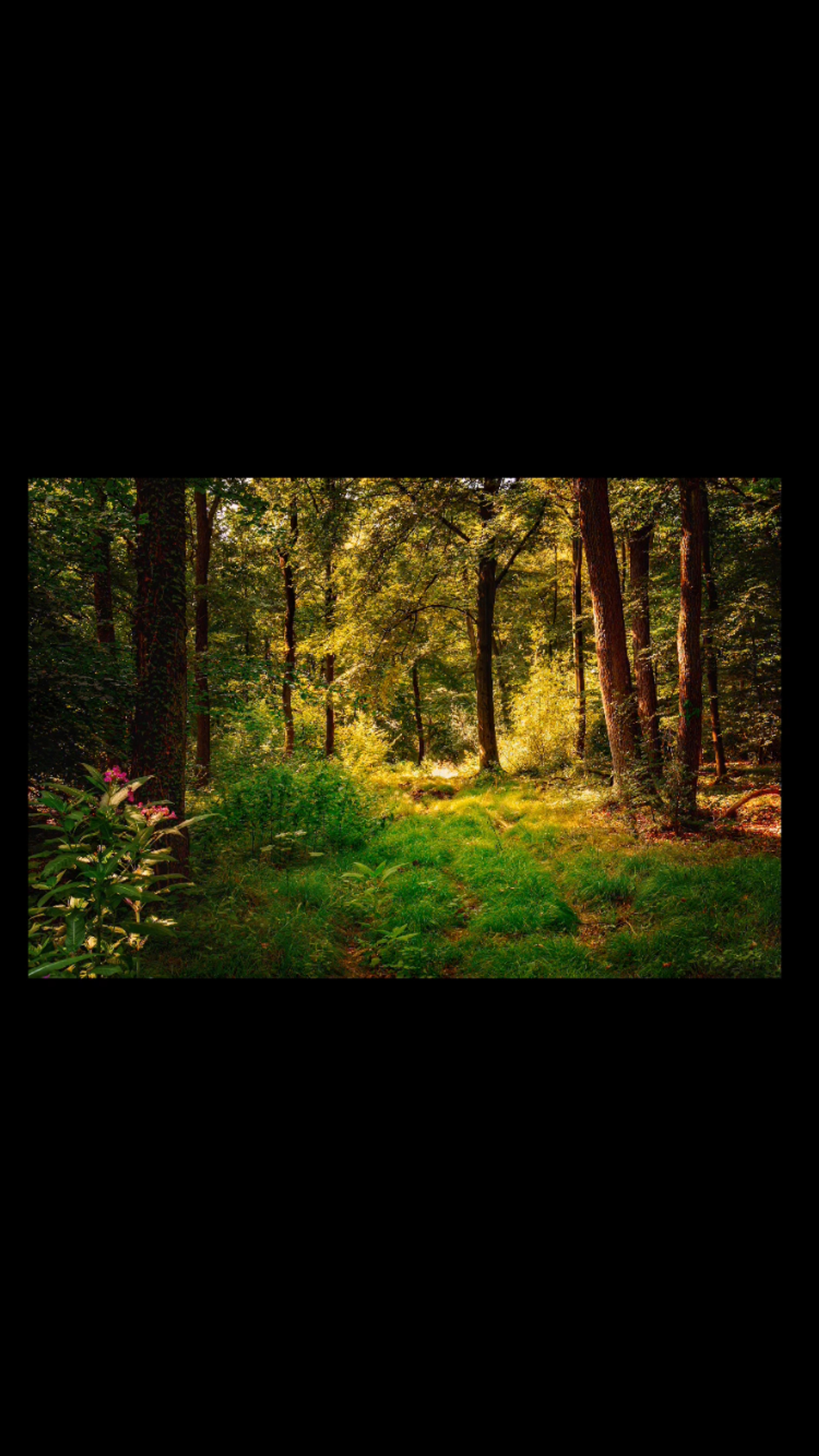 9b7ba4a7-c4f1-4124-8869-cf5b0dfe50a0.png
