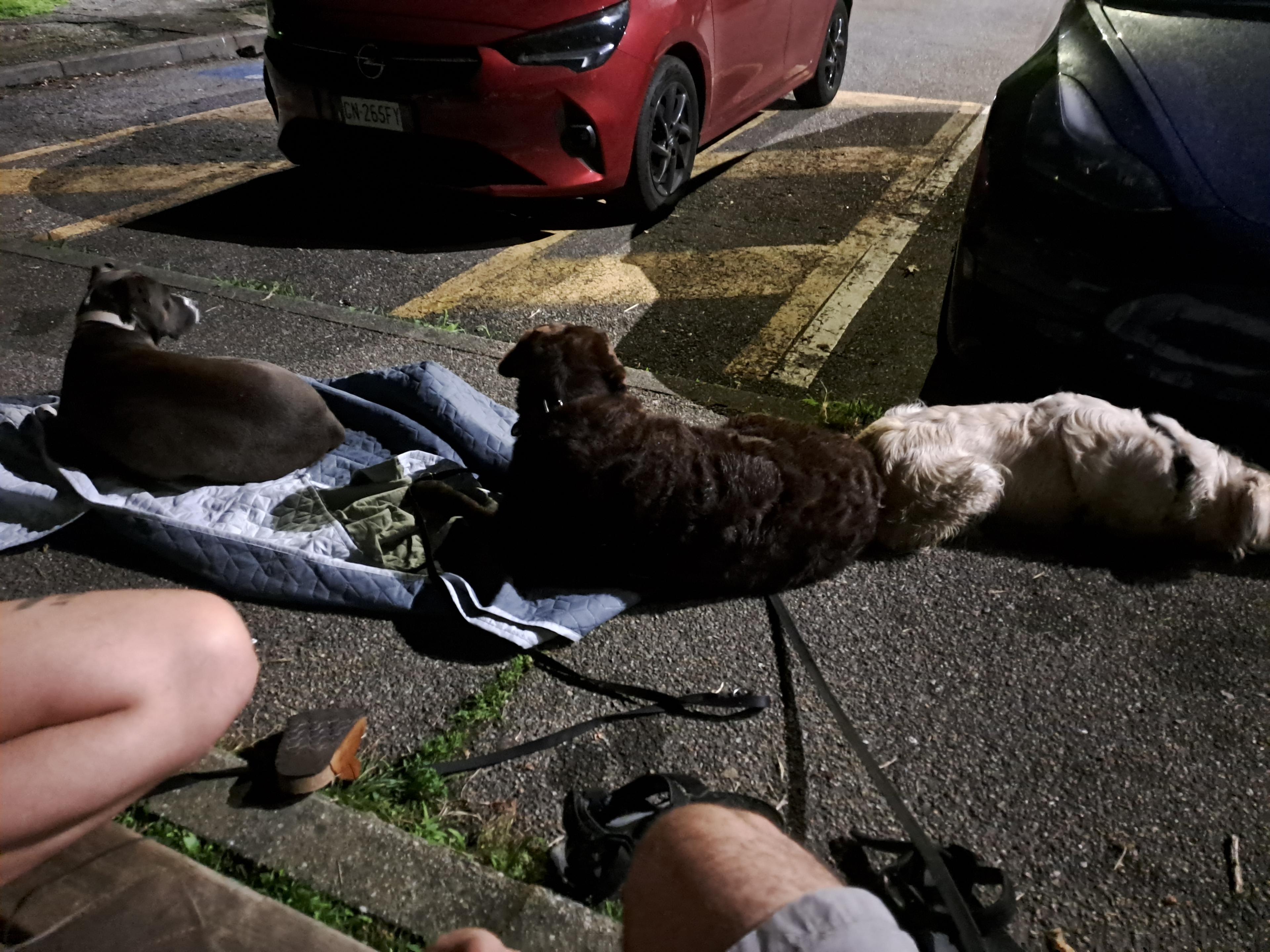 9b8d52fd-9880-46fa-8084-419f0b1c07d6.jpeg