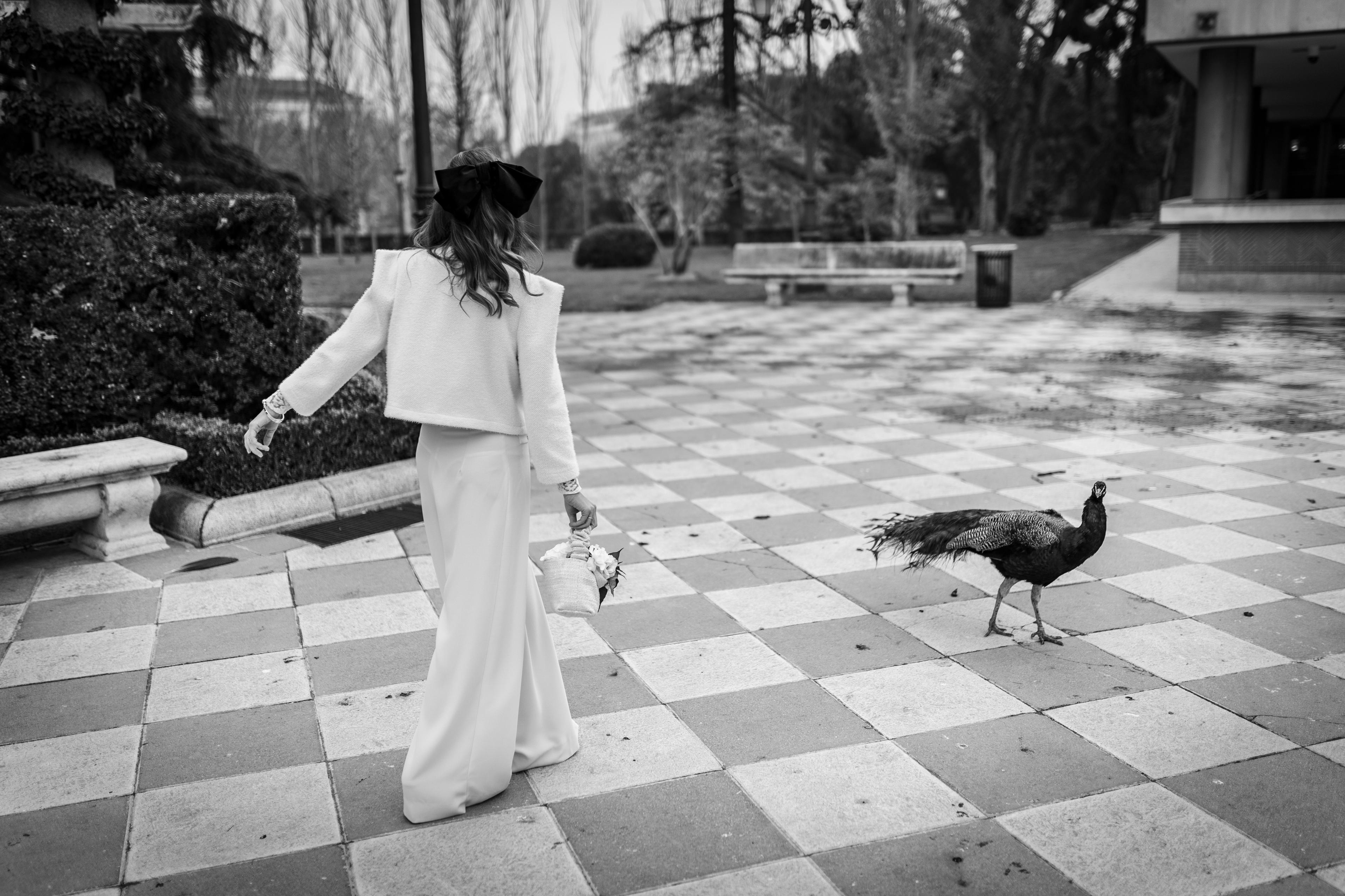 9c335808-7d96-4388-ae3c-d3bce92cffa7.jpeg