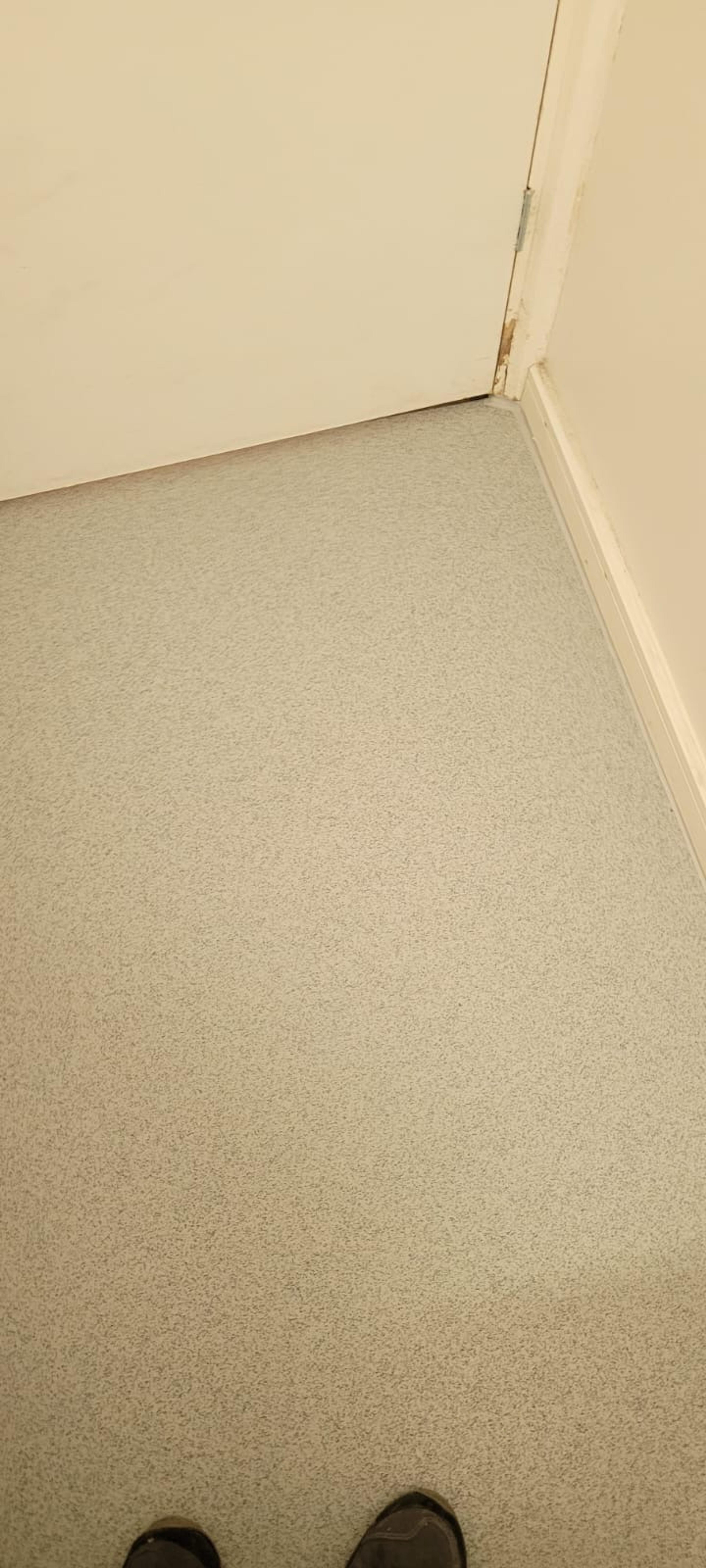 9c627014-e5fe-48bb-87c3-257c4d891994.jpeg