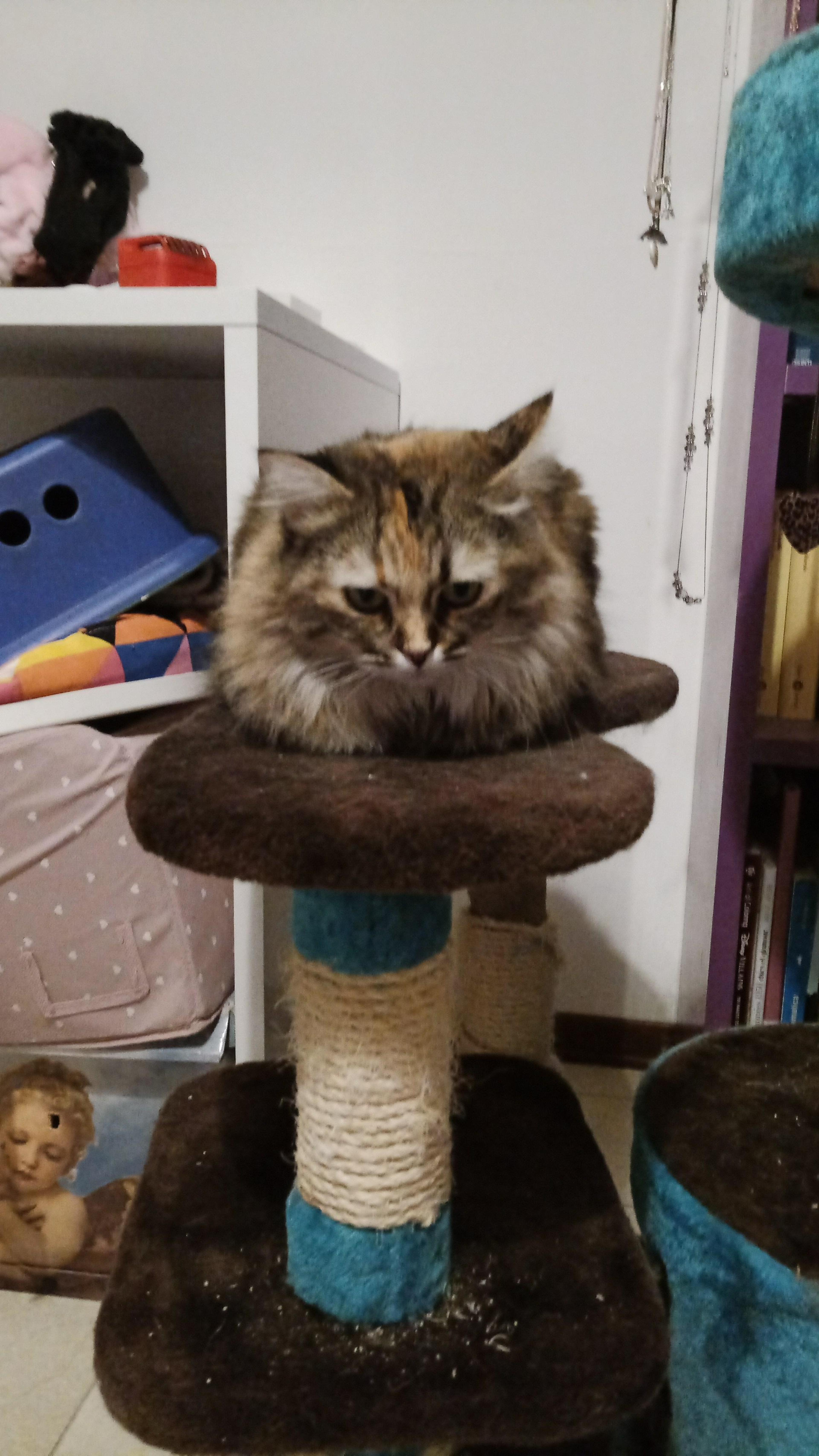9d1adfce-6aea-49ff-8ac6-8d66bd15802c.jpeg