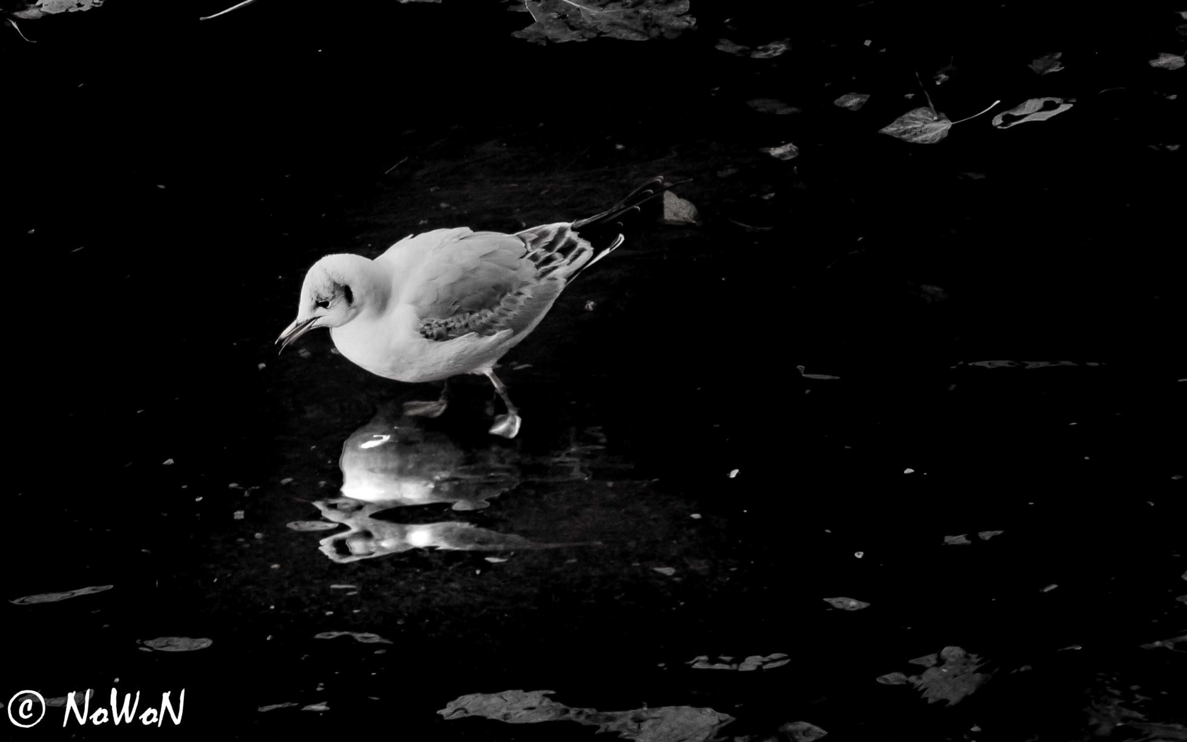 9d35854a-b736-425b-98c7-120d13c28b20.jpeg