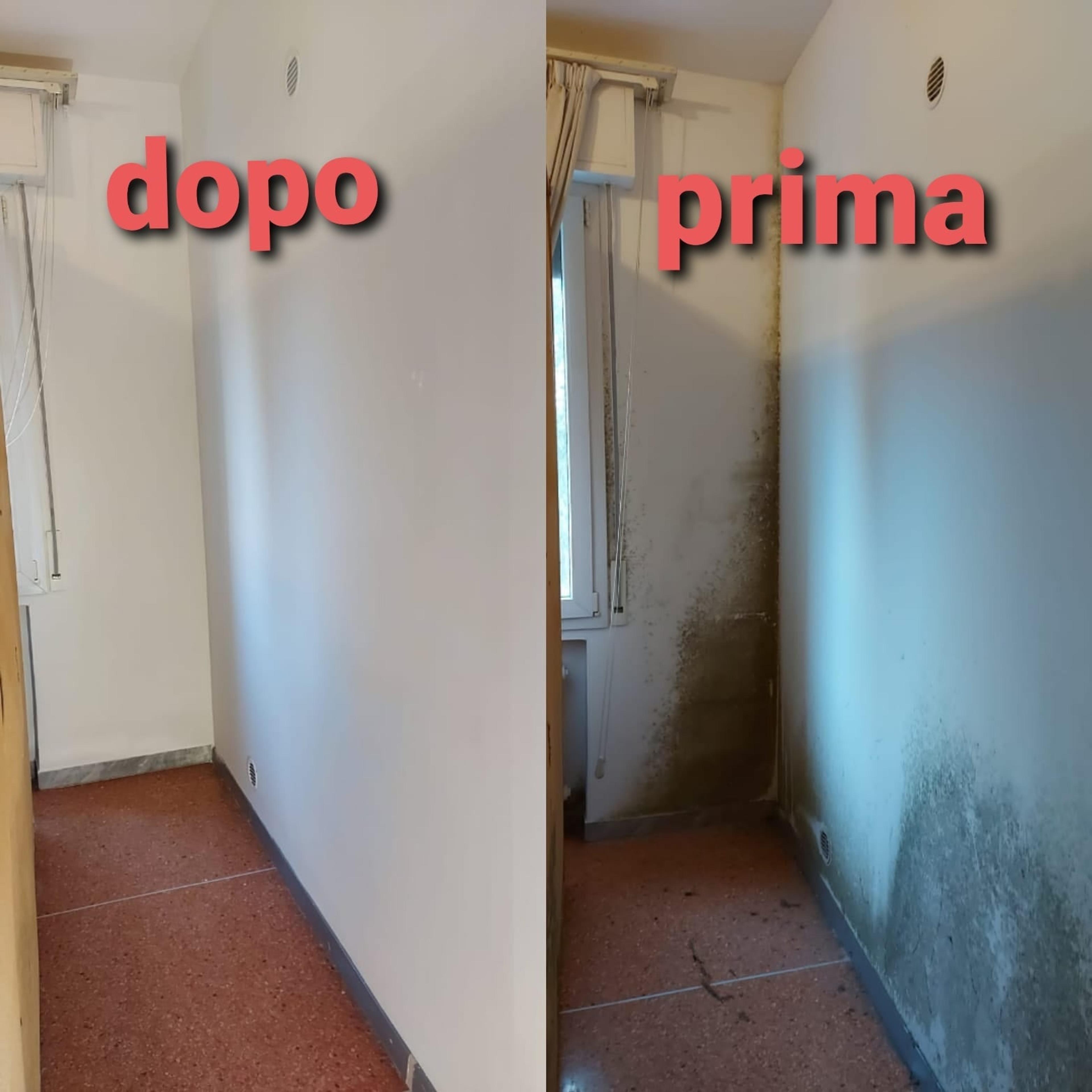 9d58fee7-0d03-4628-abbf-c40995dd3405.jpeg