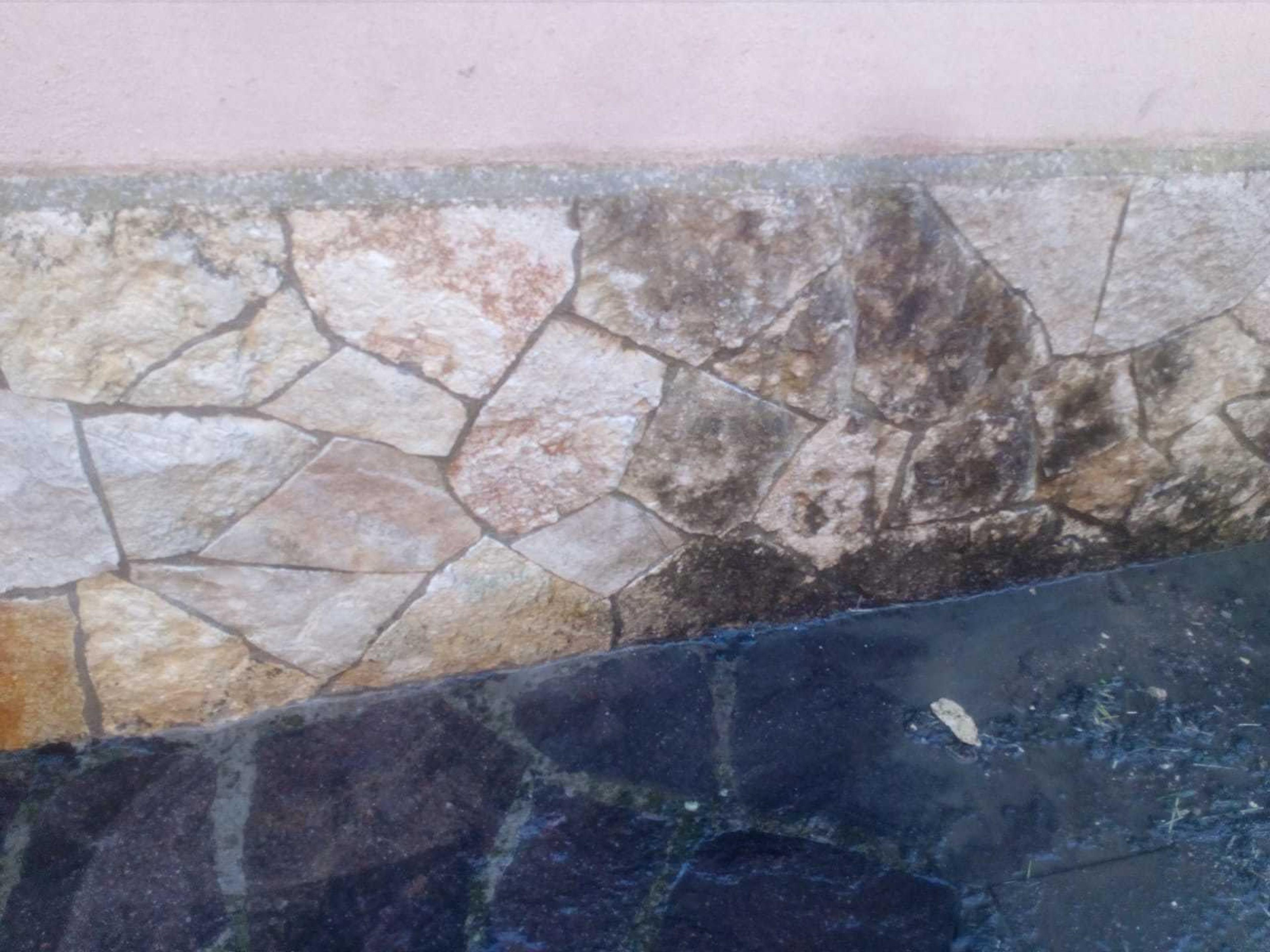 9d8efe59-20b4-4e59-8ba4-3b353cdb1e03.jpeg