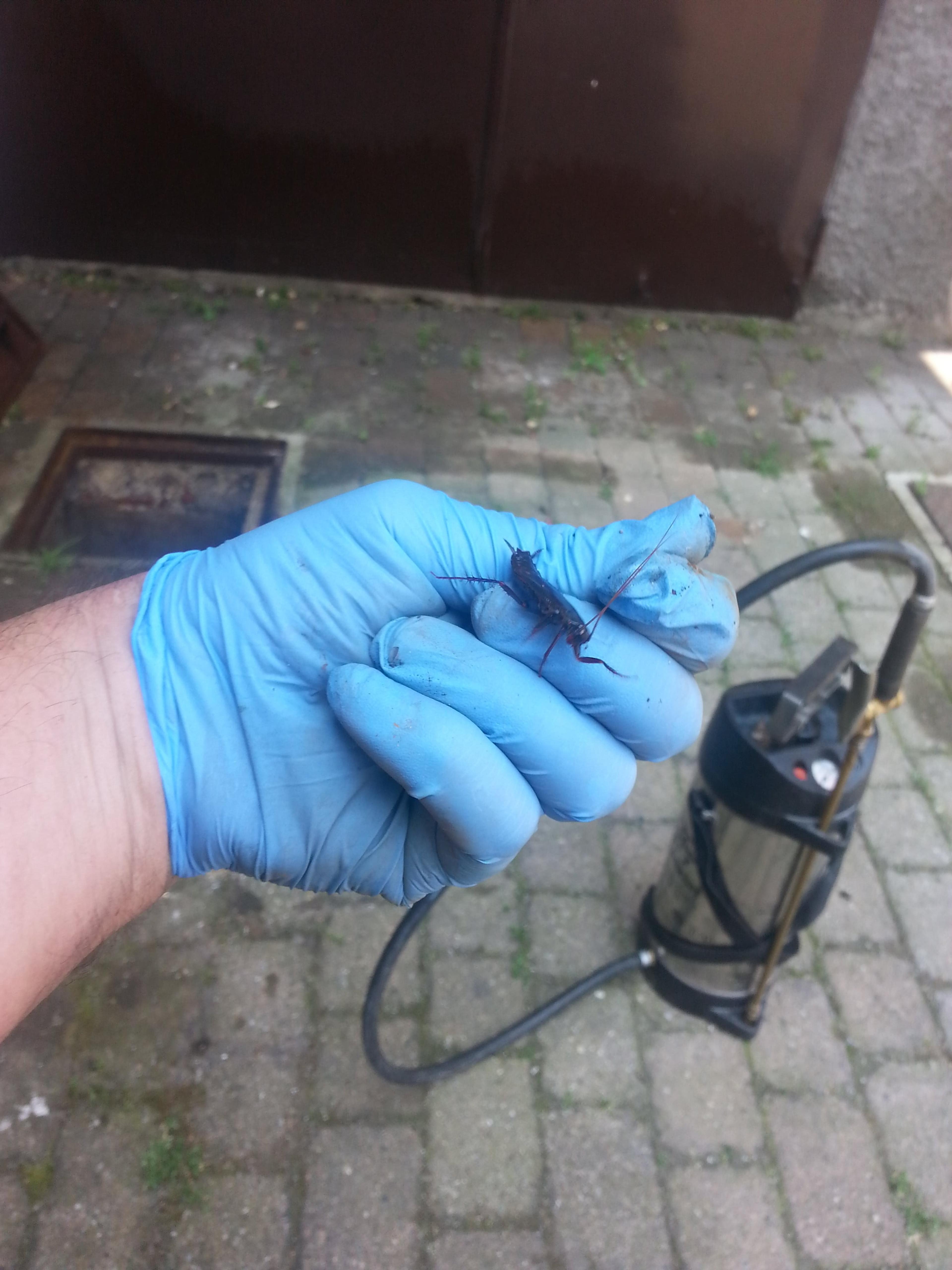 9dda9c60-20bb-42b2-b3dc-b5c01a3dc763.jpeg