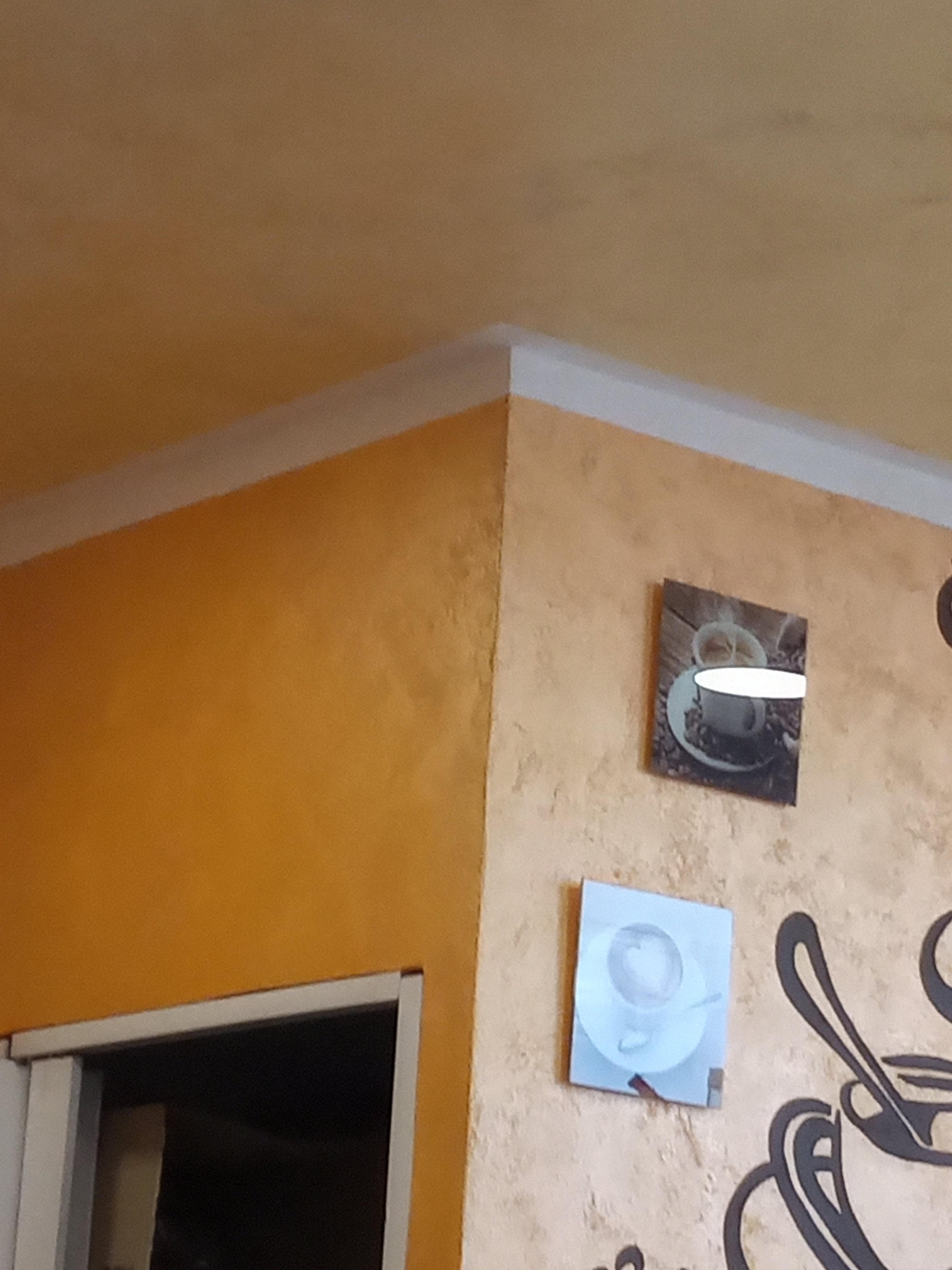 9e792322-ba7d-4760-8a61-2b5d5ddbc16a.jpeg