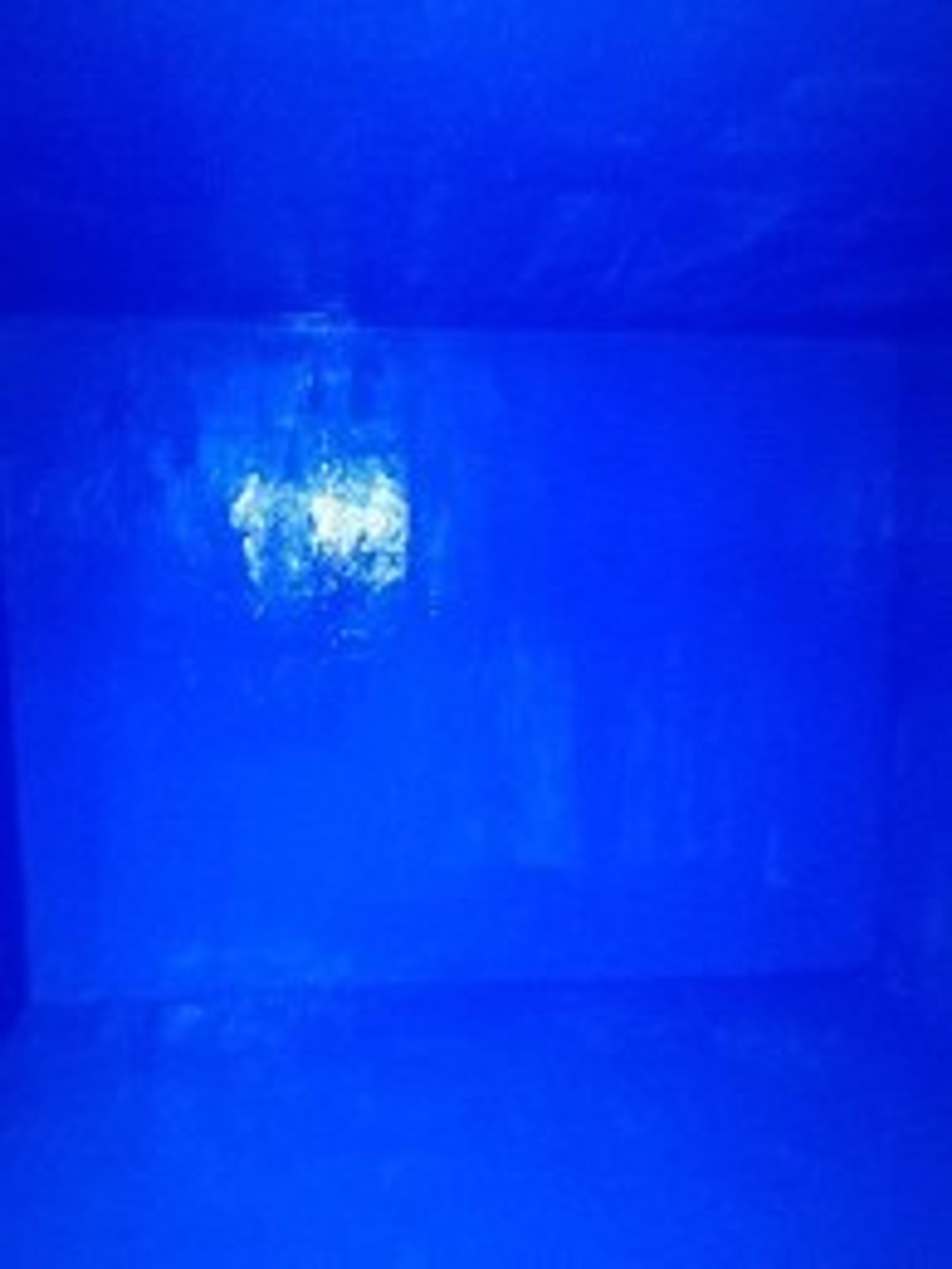9e8c850c-9325-4e54-b9f5-19226b10787f.jpeg