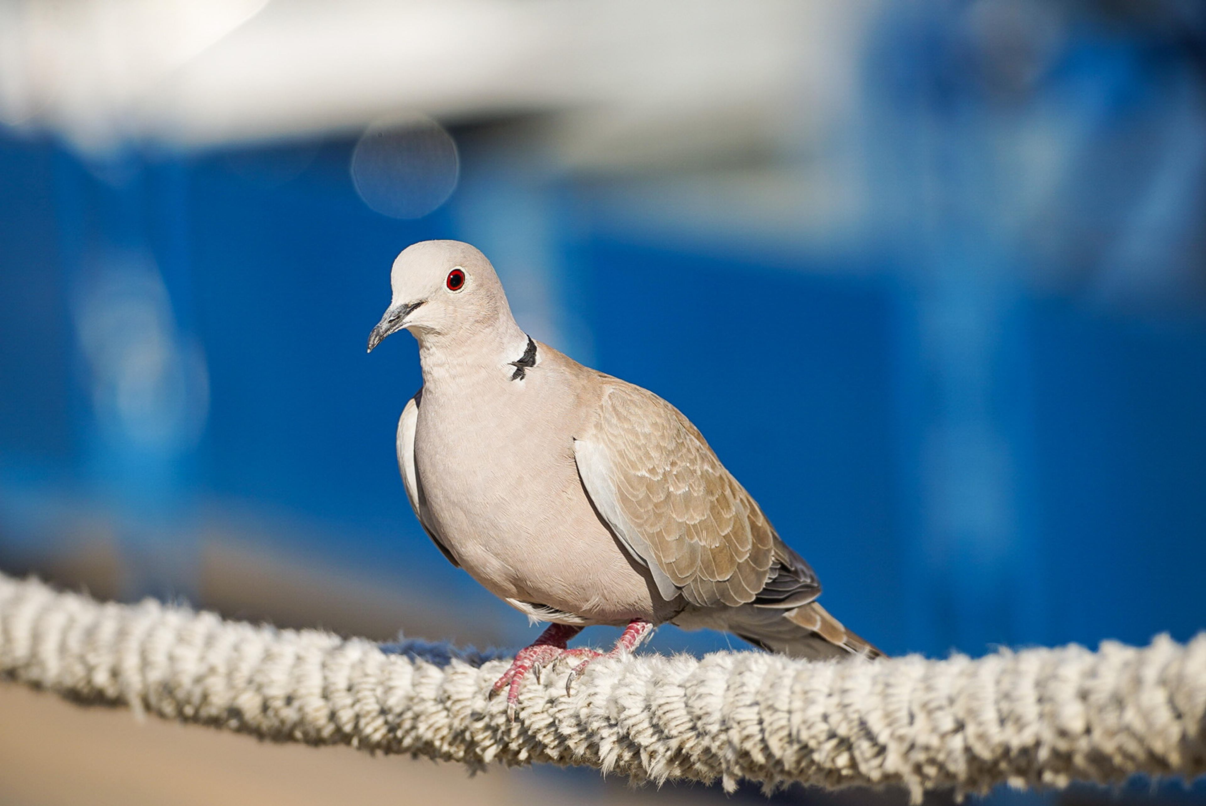 9ea8759b-45b2-4bd9-a7d9-b70df945971e.jpeg