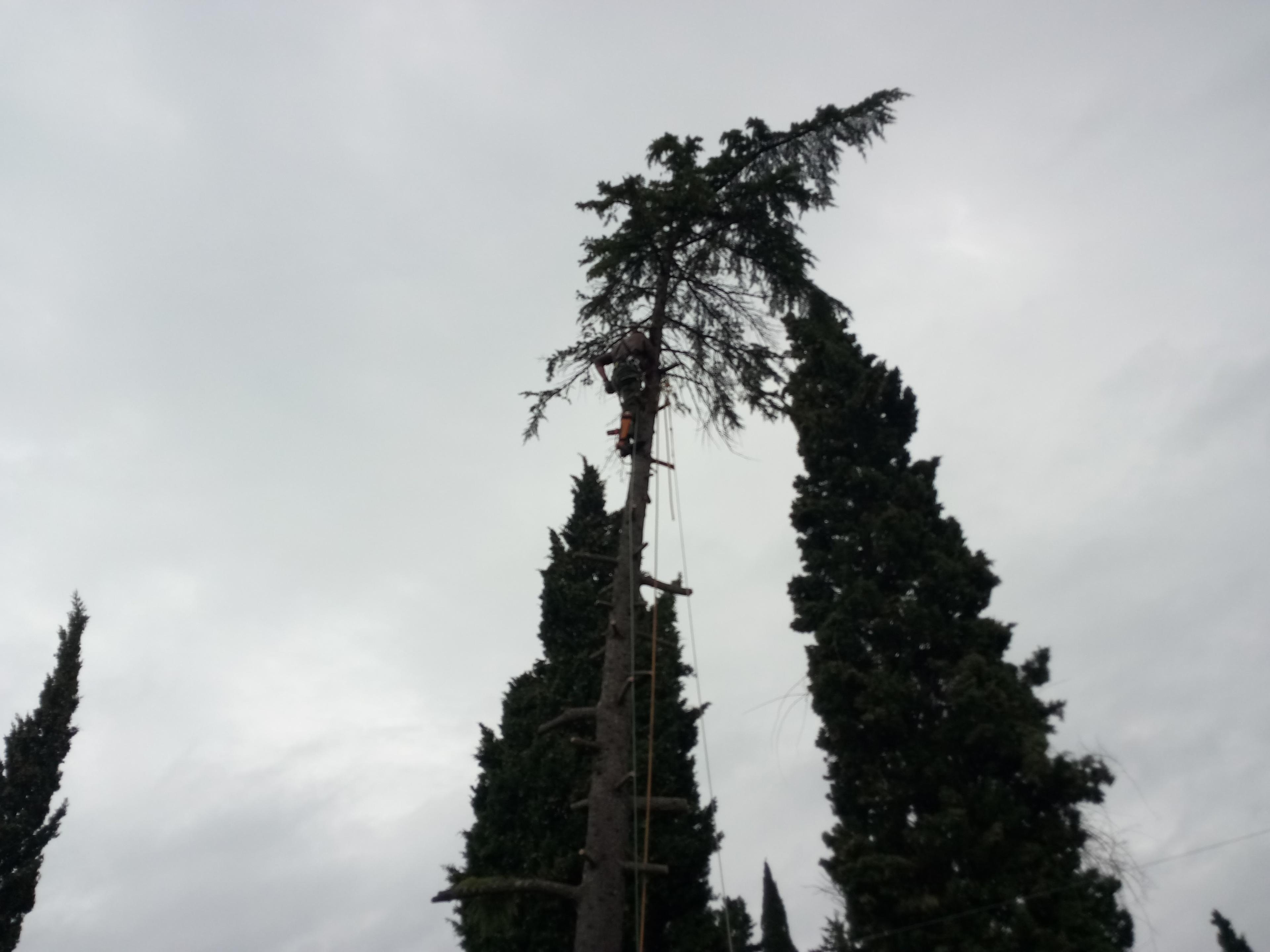 9f475ad3-2938-4f8b-95cb-a2acb25b45c6.jpeg