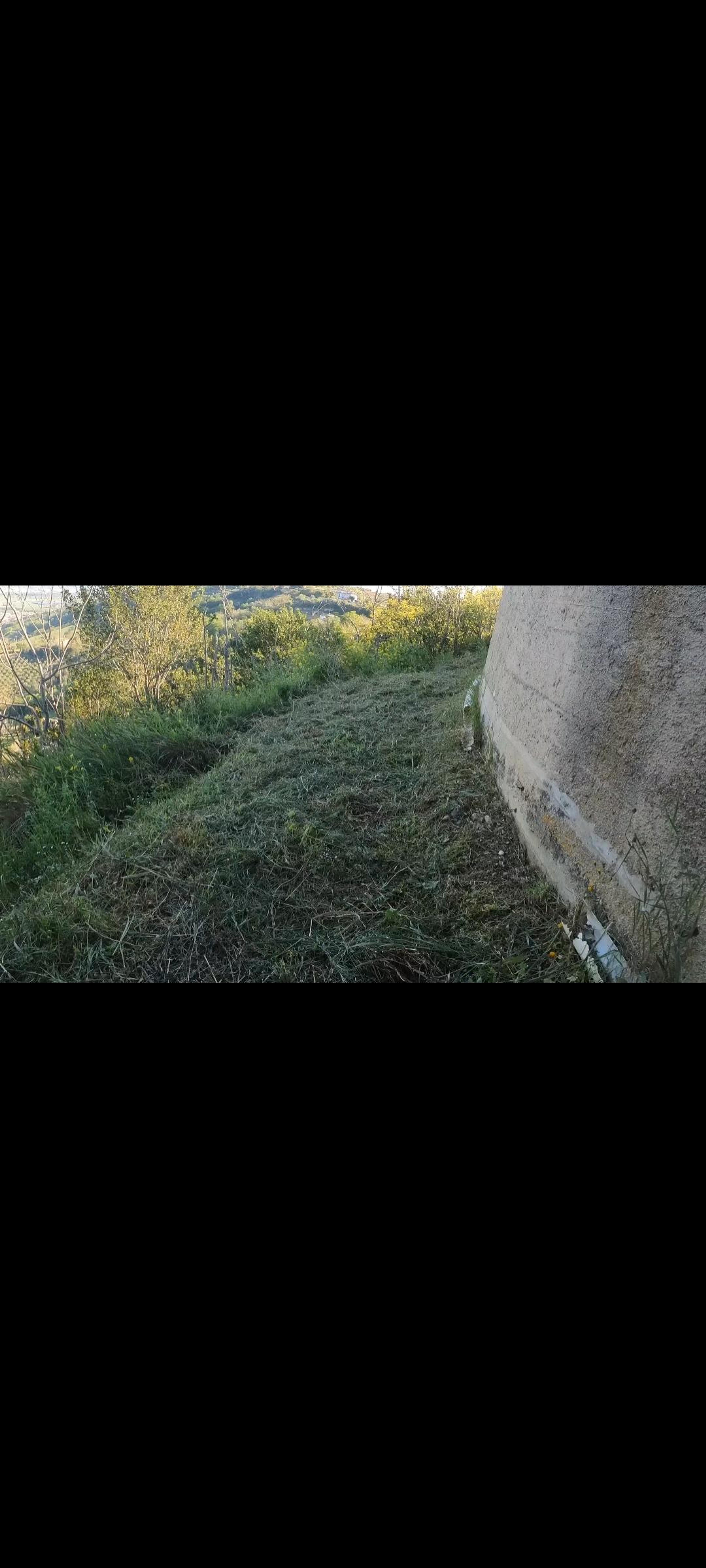 a0305b60-ca16-4960-a785-5d9111e6007d.jpeg