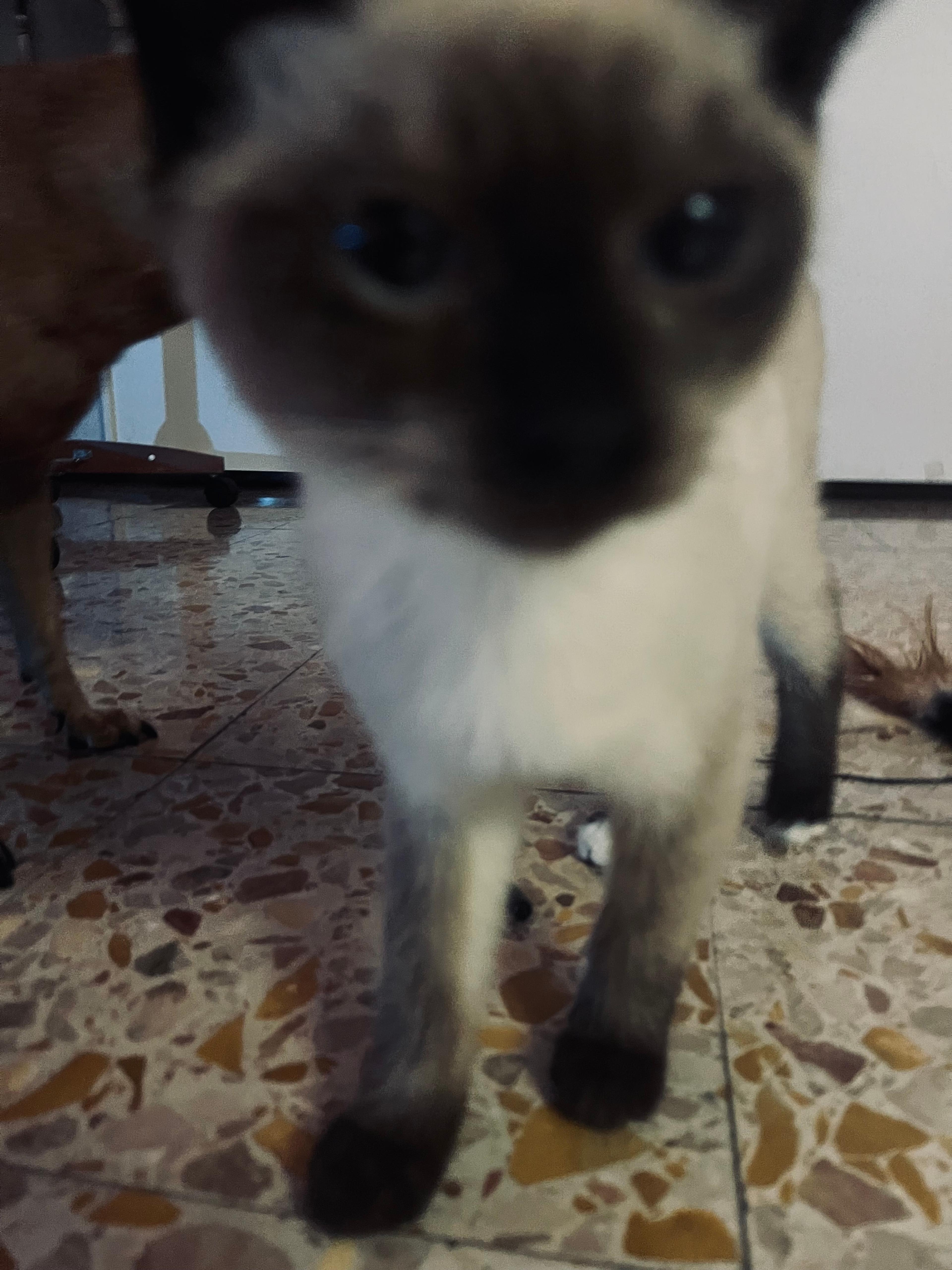 a063244f-d137-464f-8aa7-fb4595e9d093.jpeg