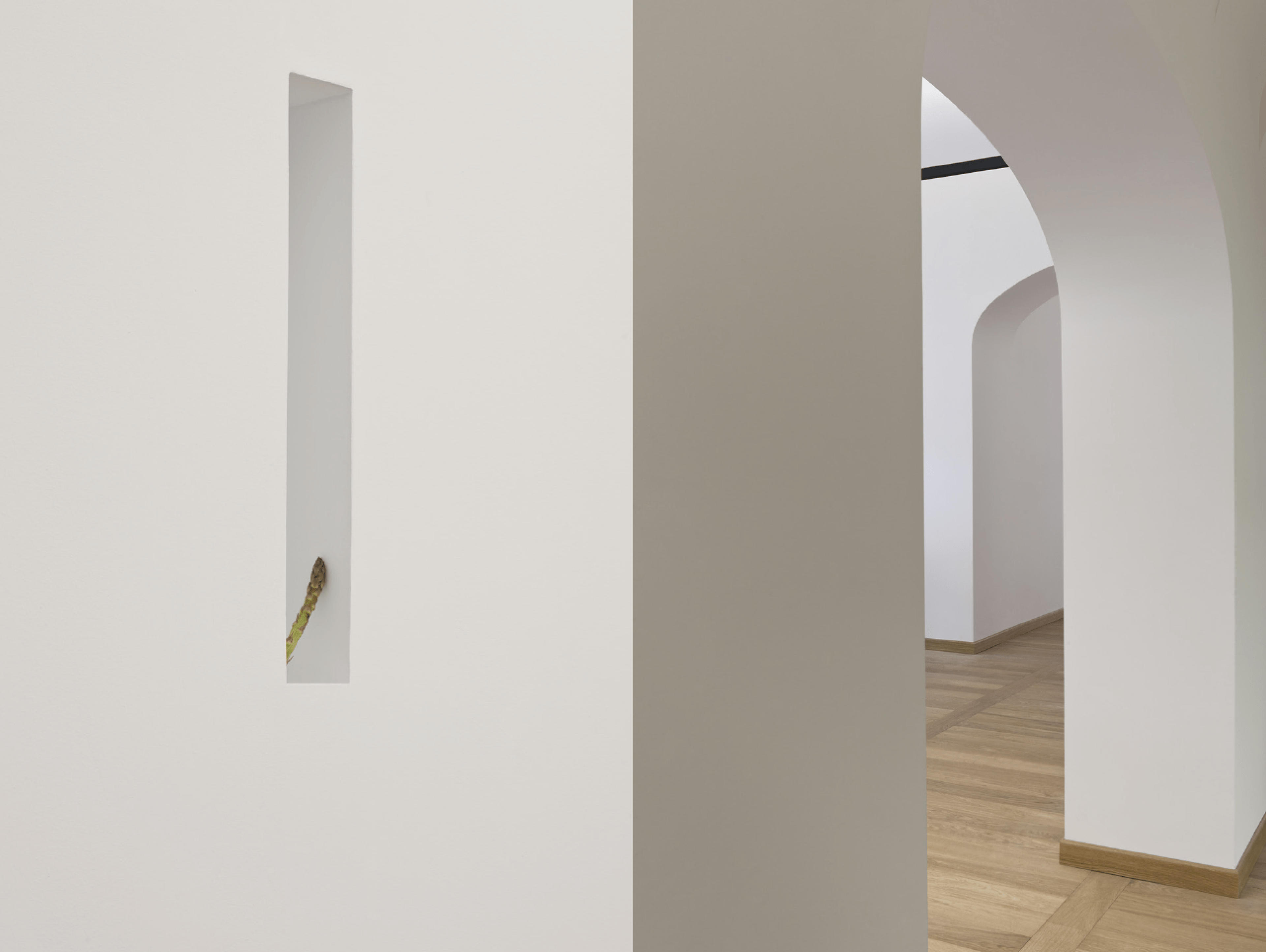 a088226a-2552-4aa3-ad80-37cf79d576b8.png
