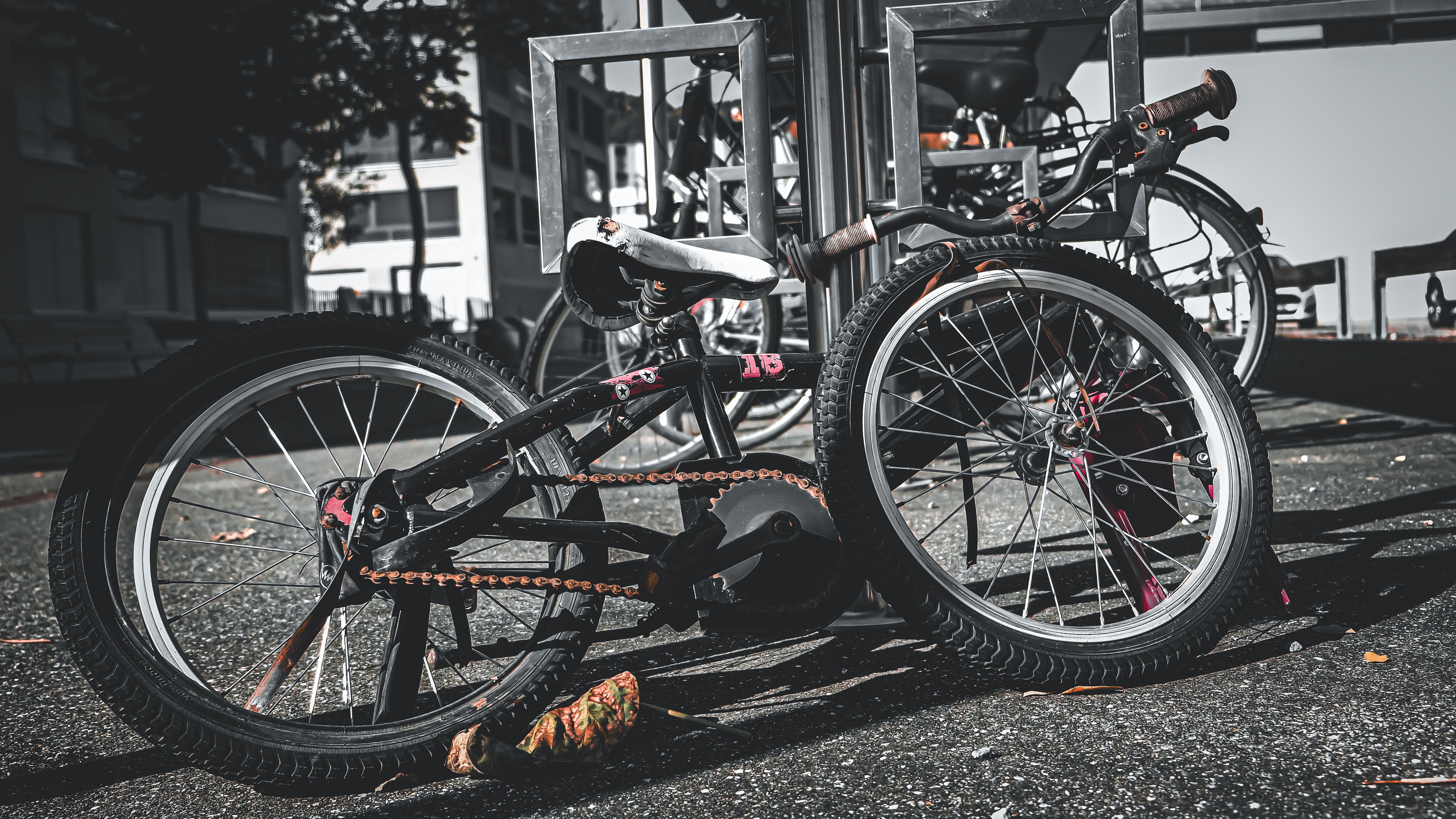 a08956ac-ffb0-4adf-864f-6c1a38750e0d.jpeg