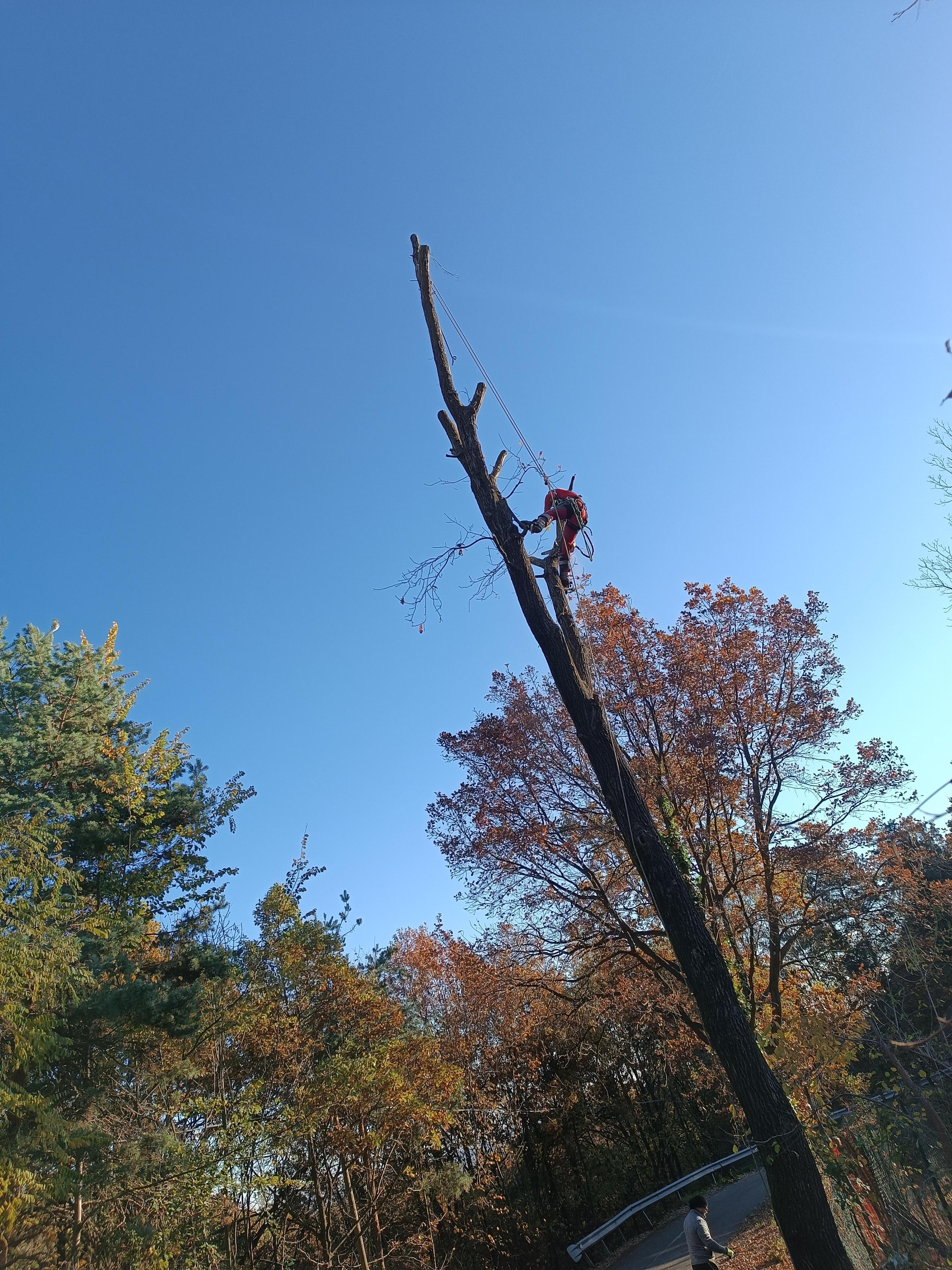 a09c0a12-bc41-41db-993b-c073f98317c6.jpeg