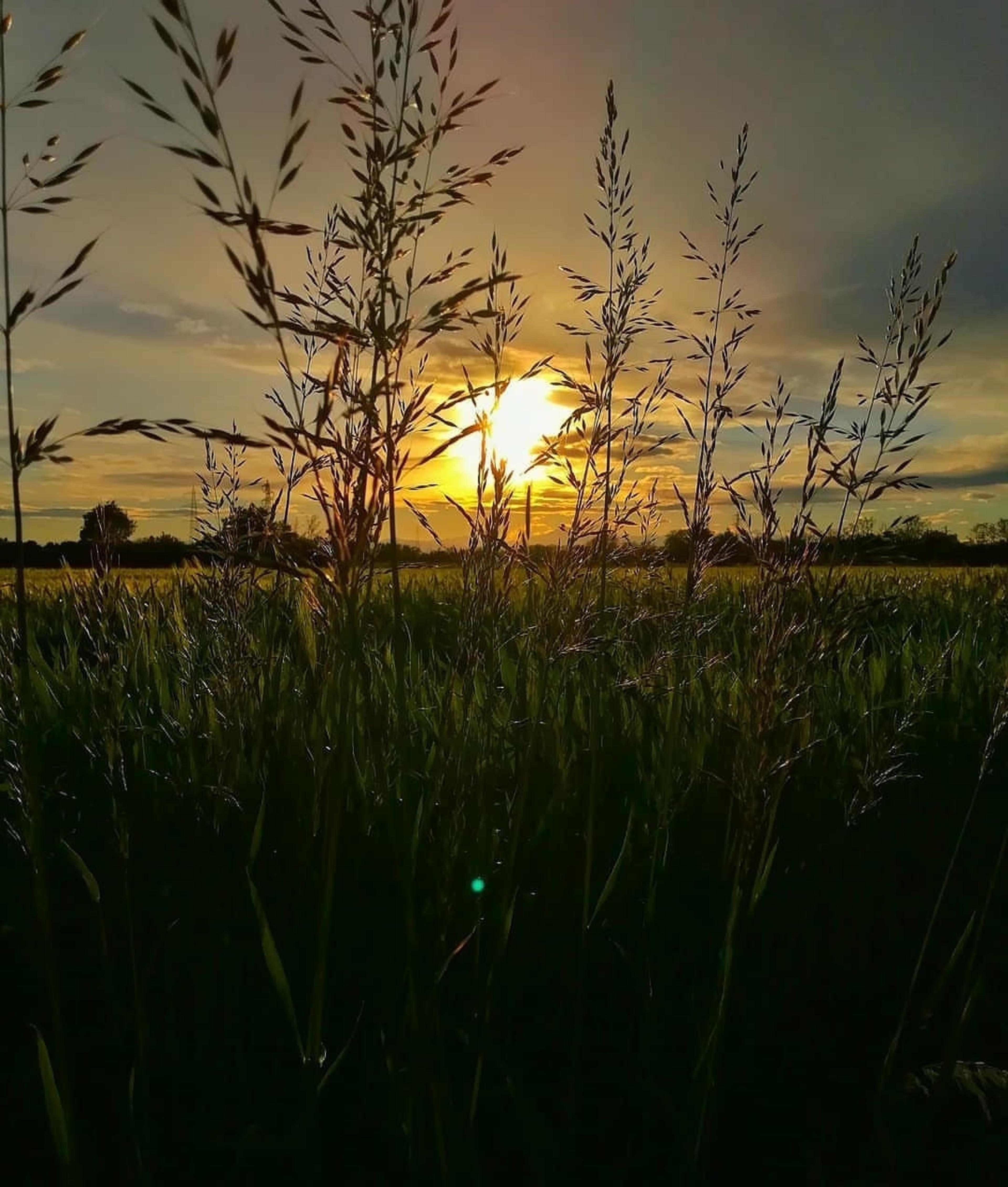 a09ef76d-925e-4abf-af99-ef1a34be2242.jpeg