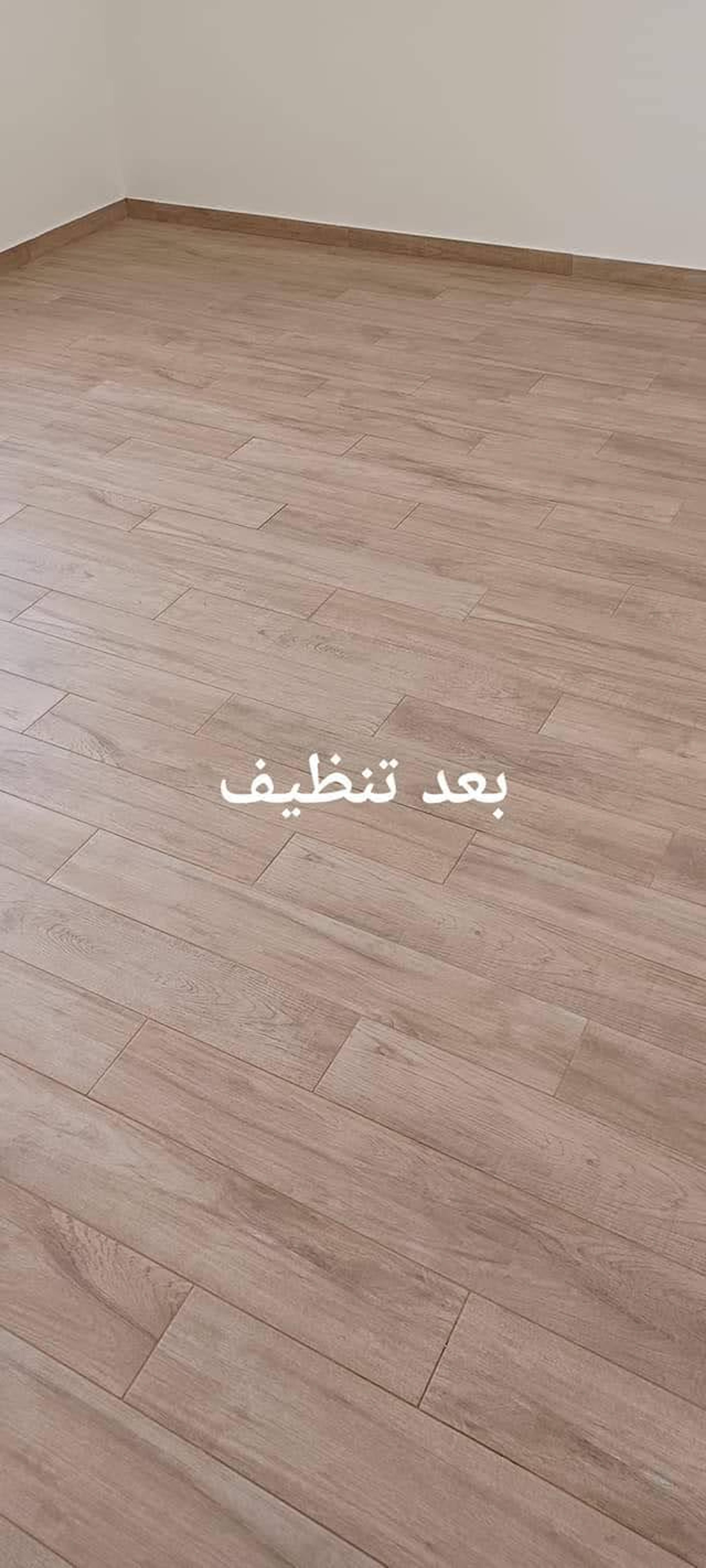 a0aad81a-86f5-41c0-b63f-5234dce02c12.jpeg