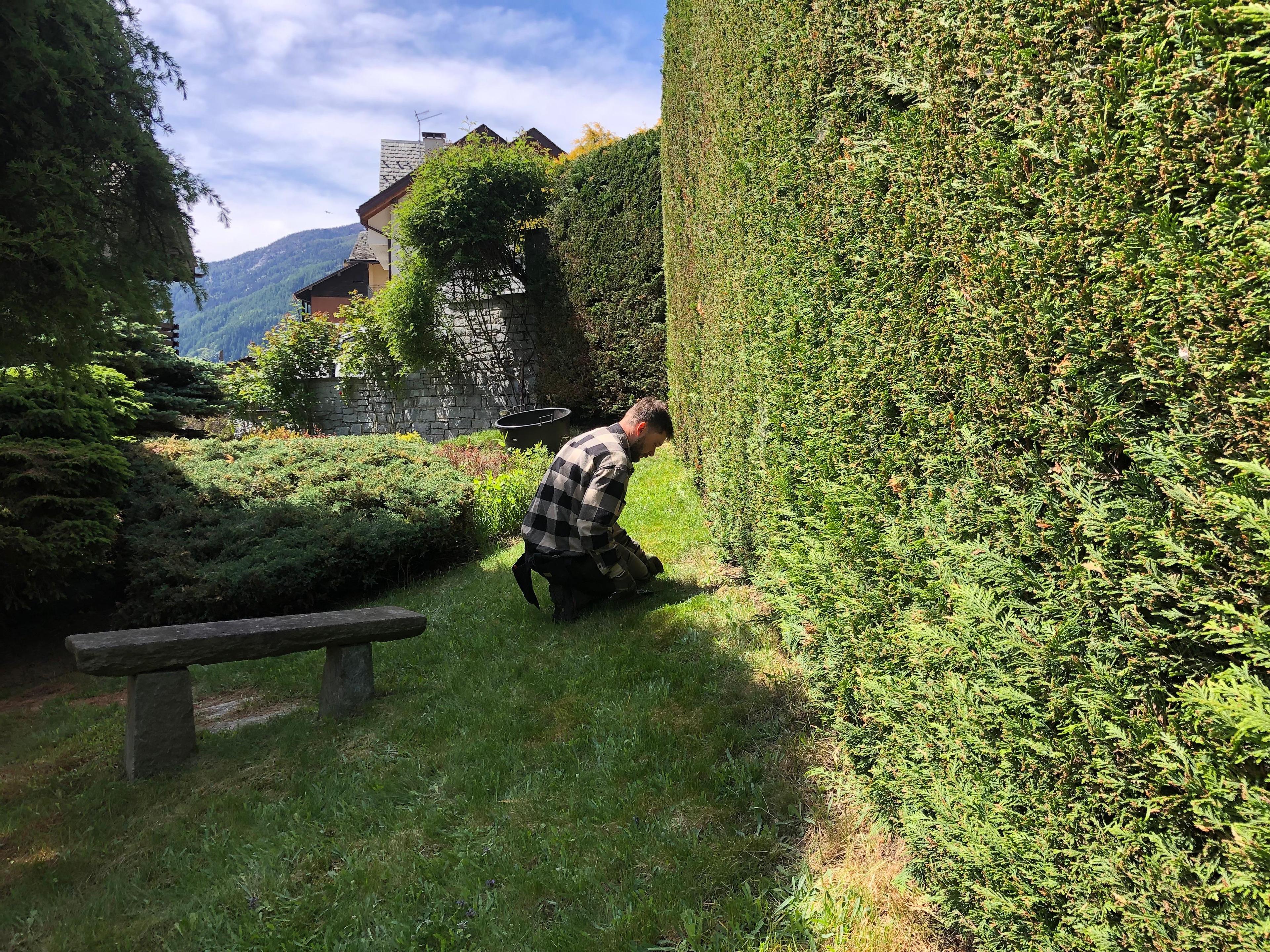 a0ae3cbc-27e8-431f-b95c-7709d4504110.jpeg