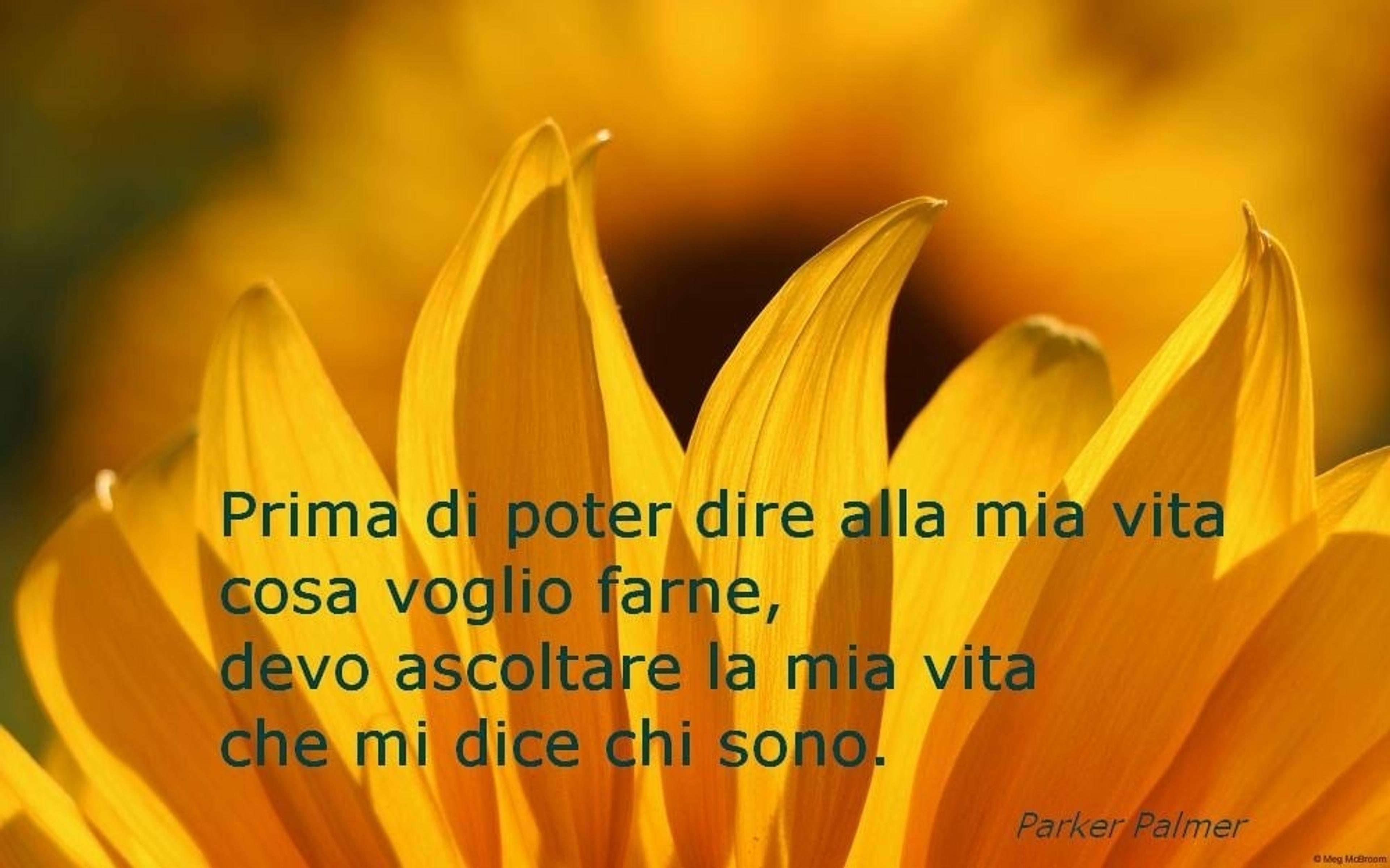 a1516577-baca-4e9e-95a7-ca98cee9ab82.jpg