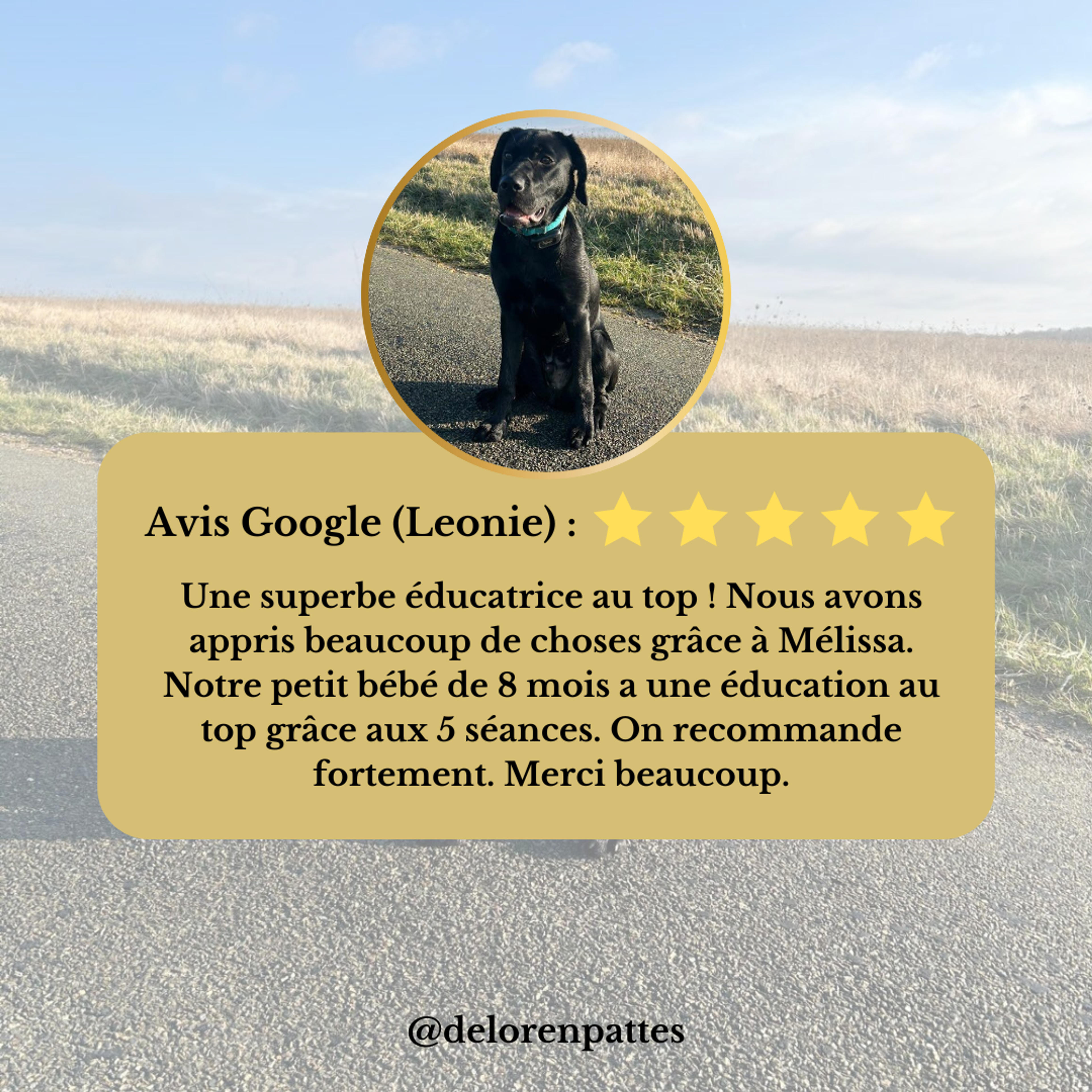 a1b35f65-9447-45ab-83c0-80a97b98c517.png