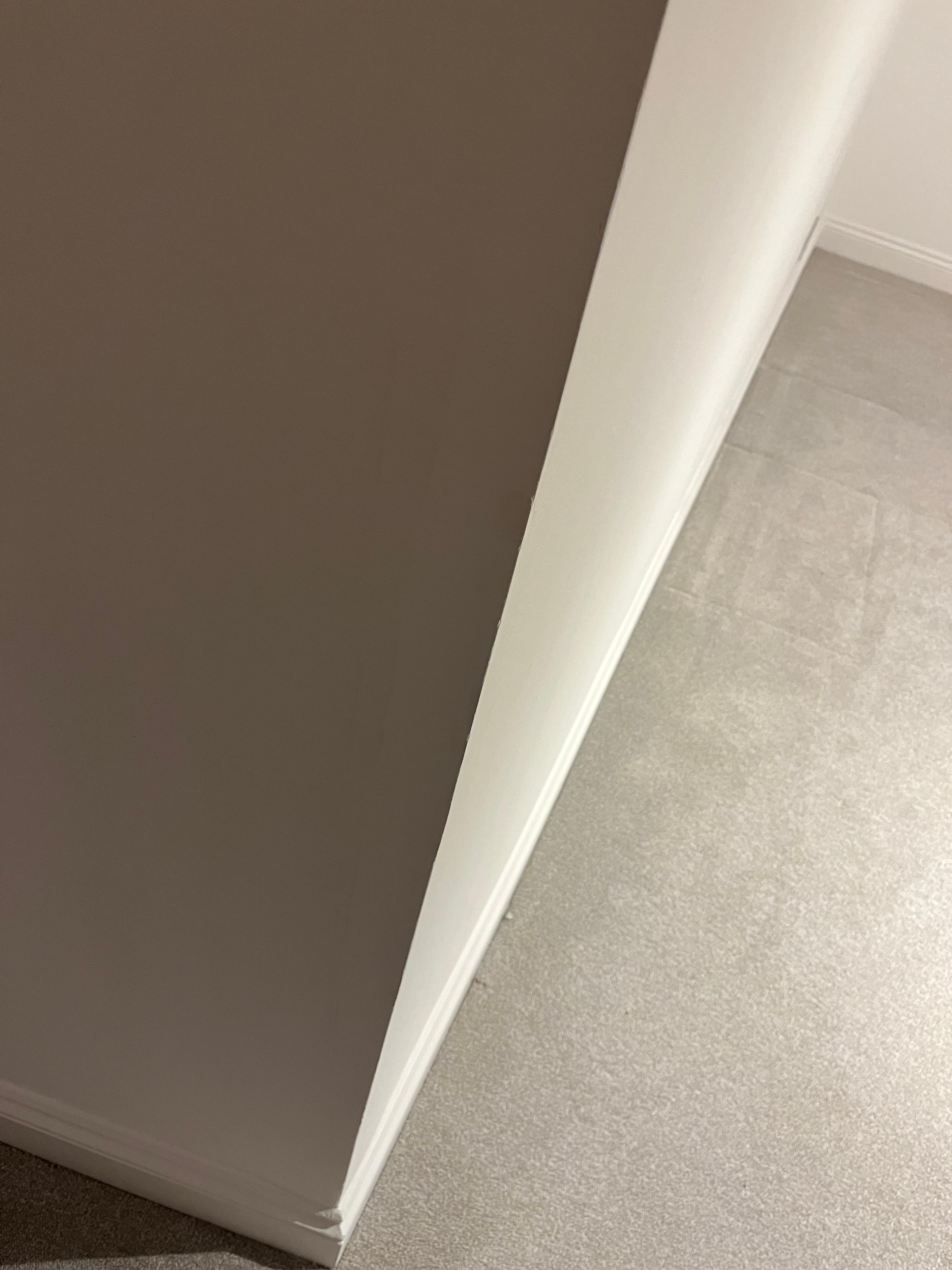 a2f9cf54-f0a0-4d90-88c0-105ad28eee36.jpeg