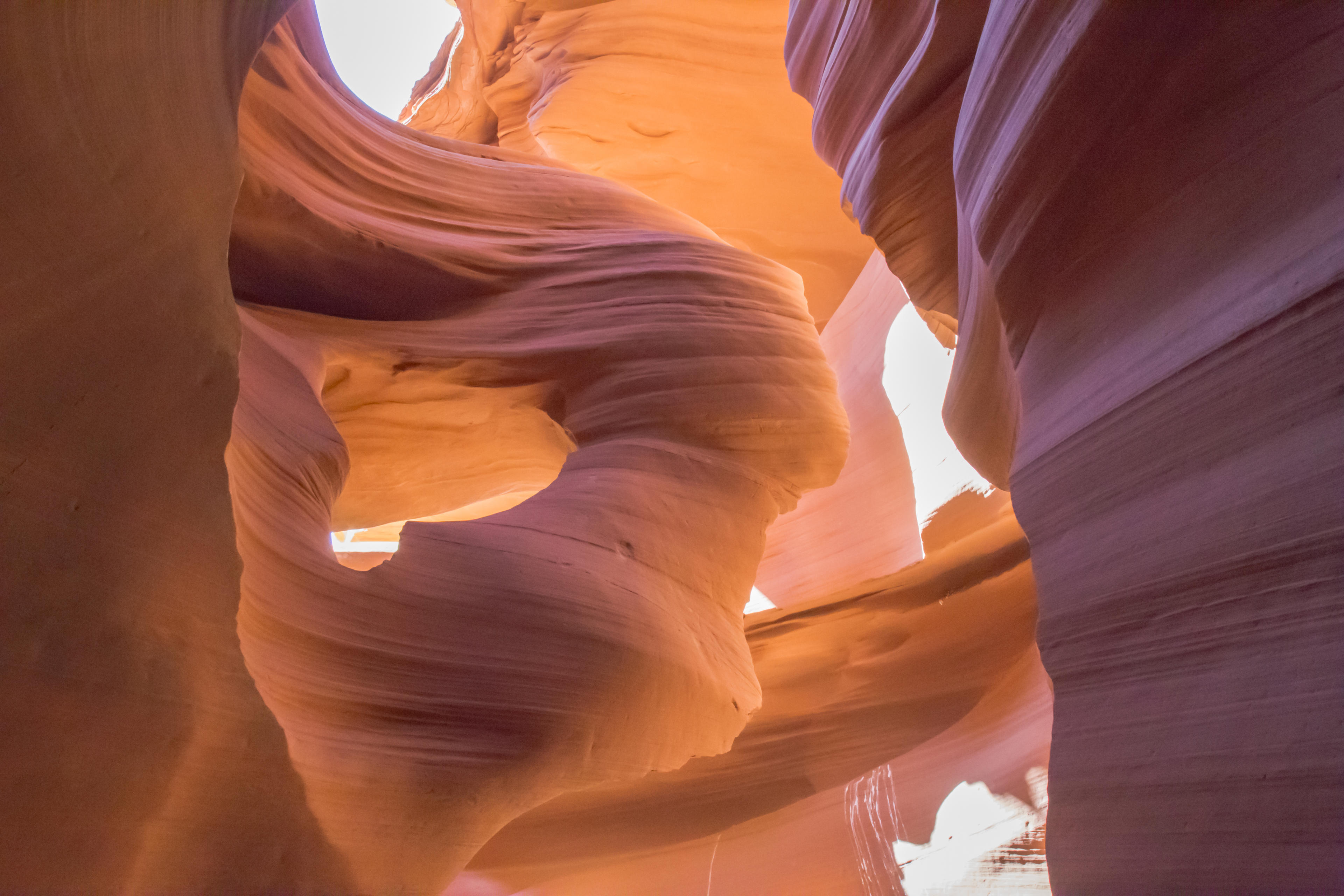 a33cec27-ec13-4150-b356-aa6a7736a356.jpeg
