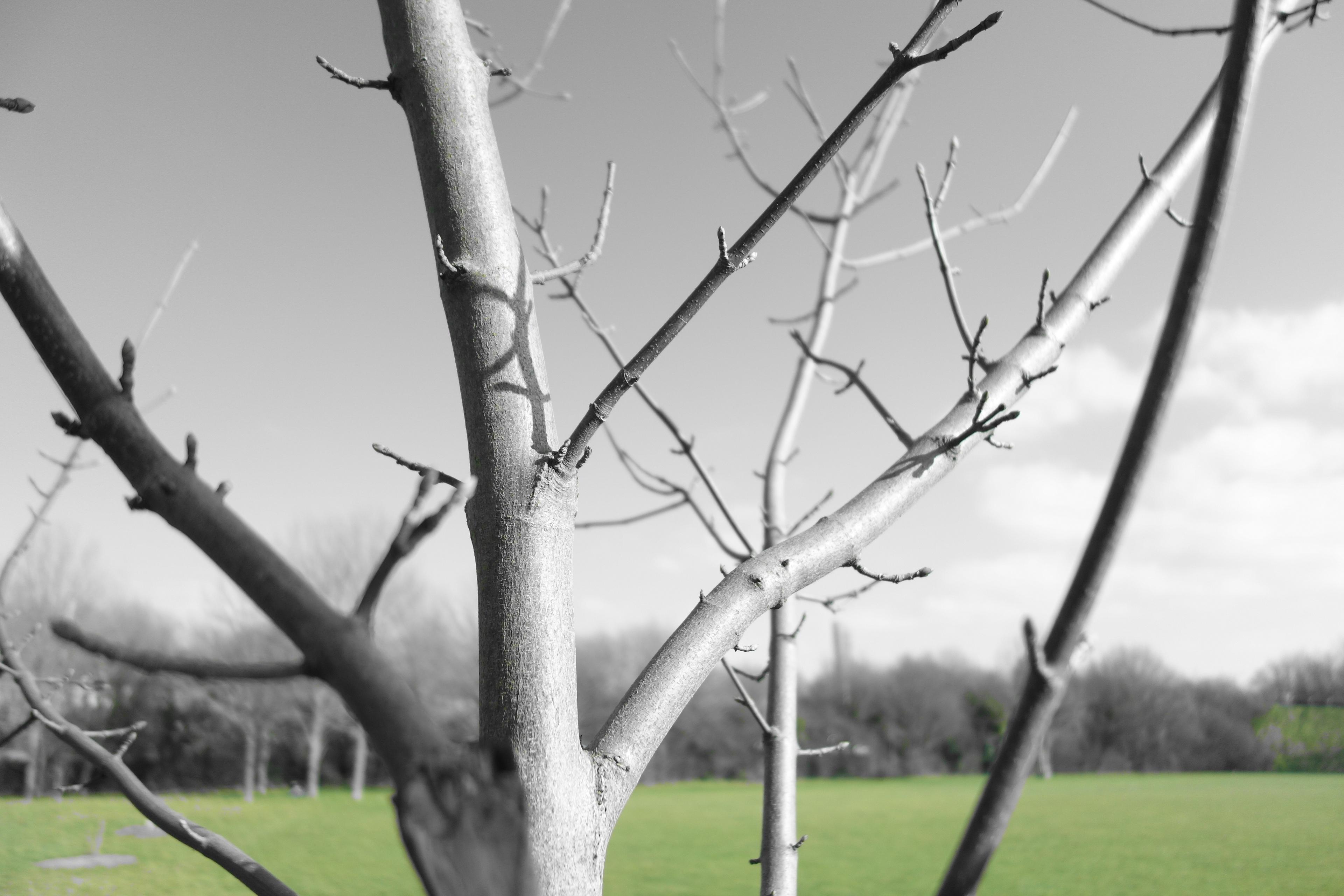 a3c7519a-25e7-49d2-bc47-f6c4c55310fa.jpeg
