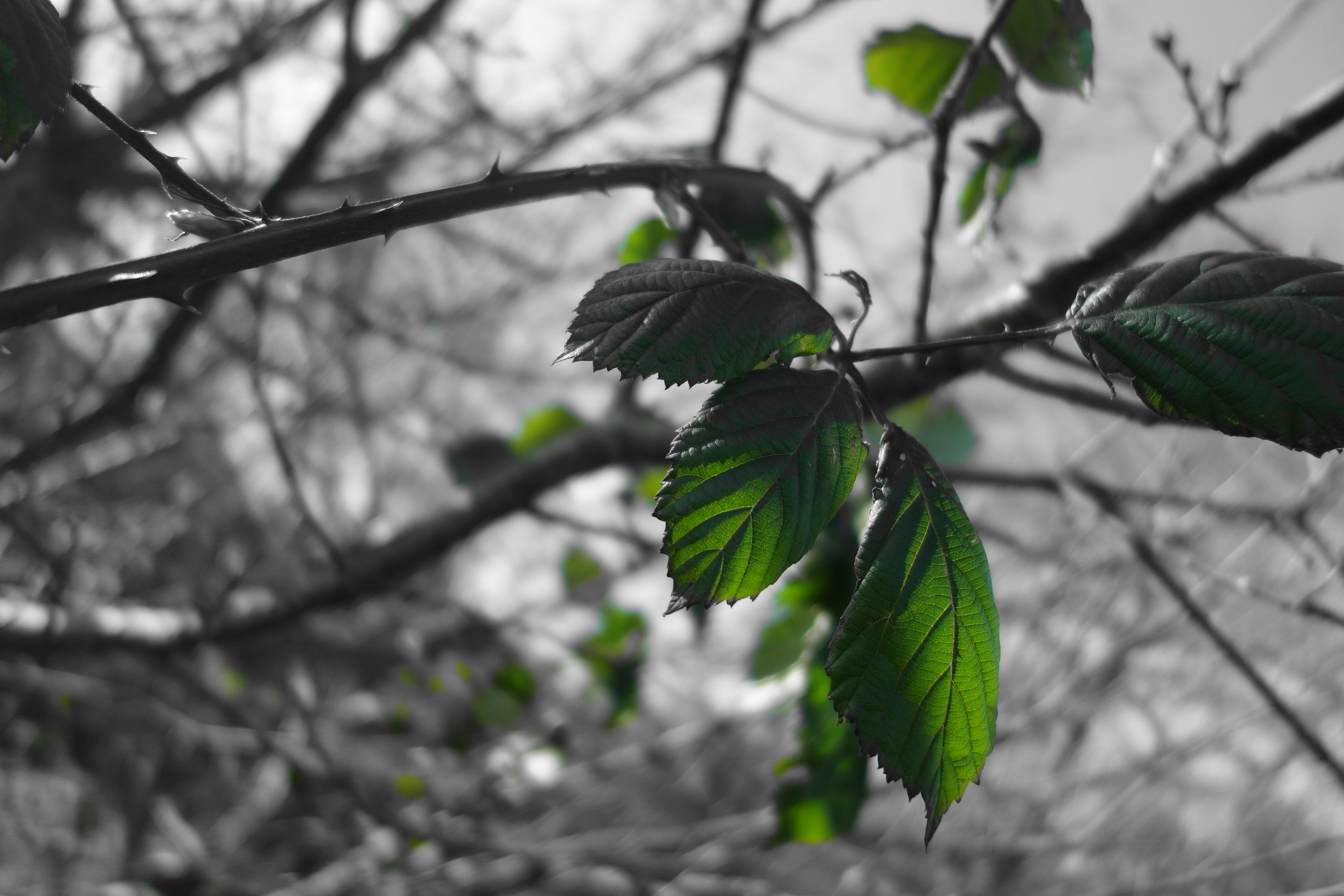 a41e3bf3-f5d3-4e16-b111-05f574736ebe.jpeg