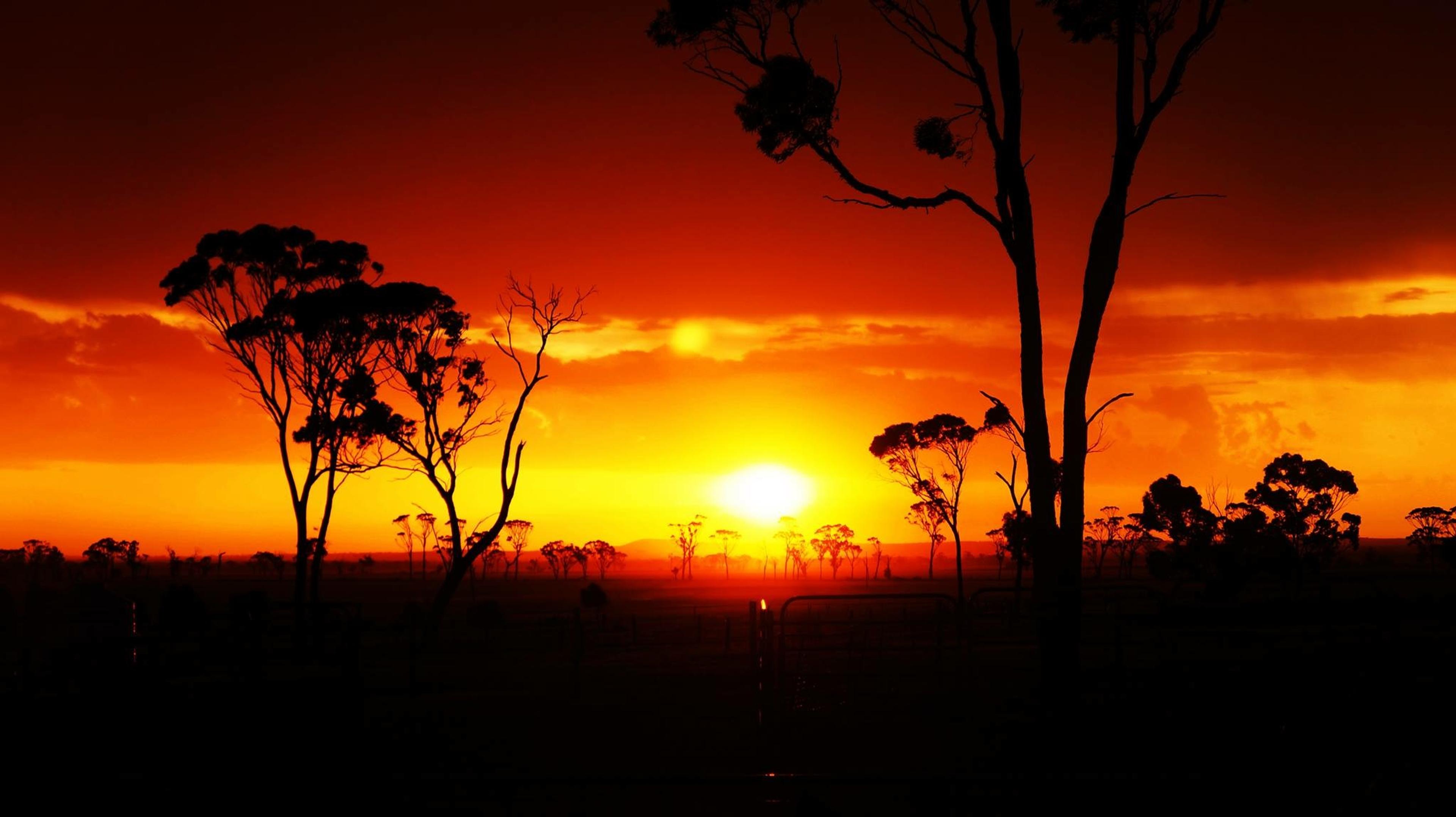 a4ab9cfb-7f04-472f-92de-1b8e26f2b56c.jpeg