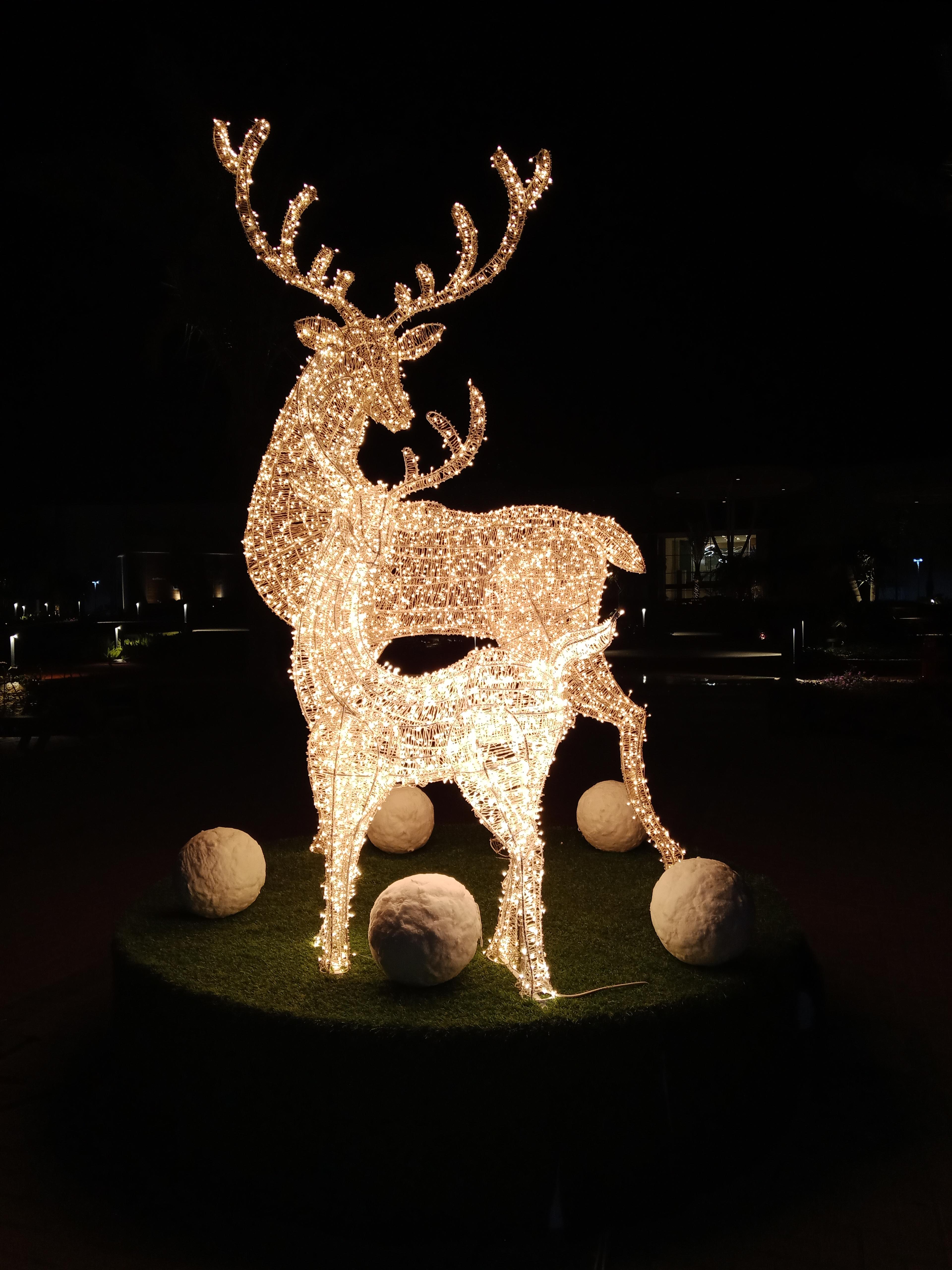 a4b9ab80-e3a0-40ed-b63b-d7074a2654c1.jpeg