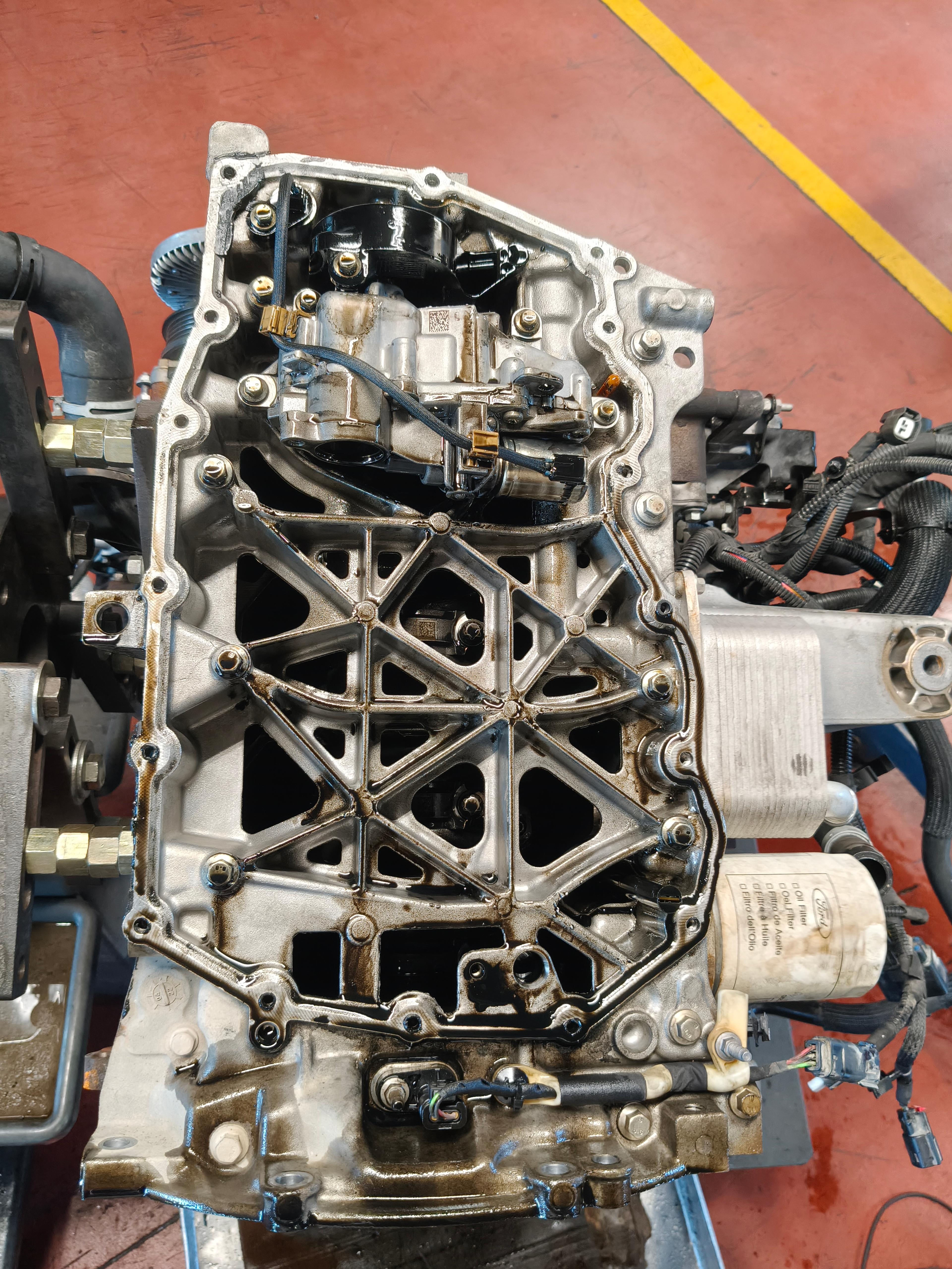 a4fa24b6-6c56-44cc-b2c5-5d9c397c4335.jpeg