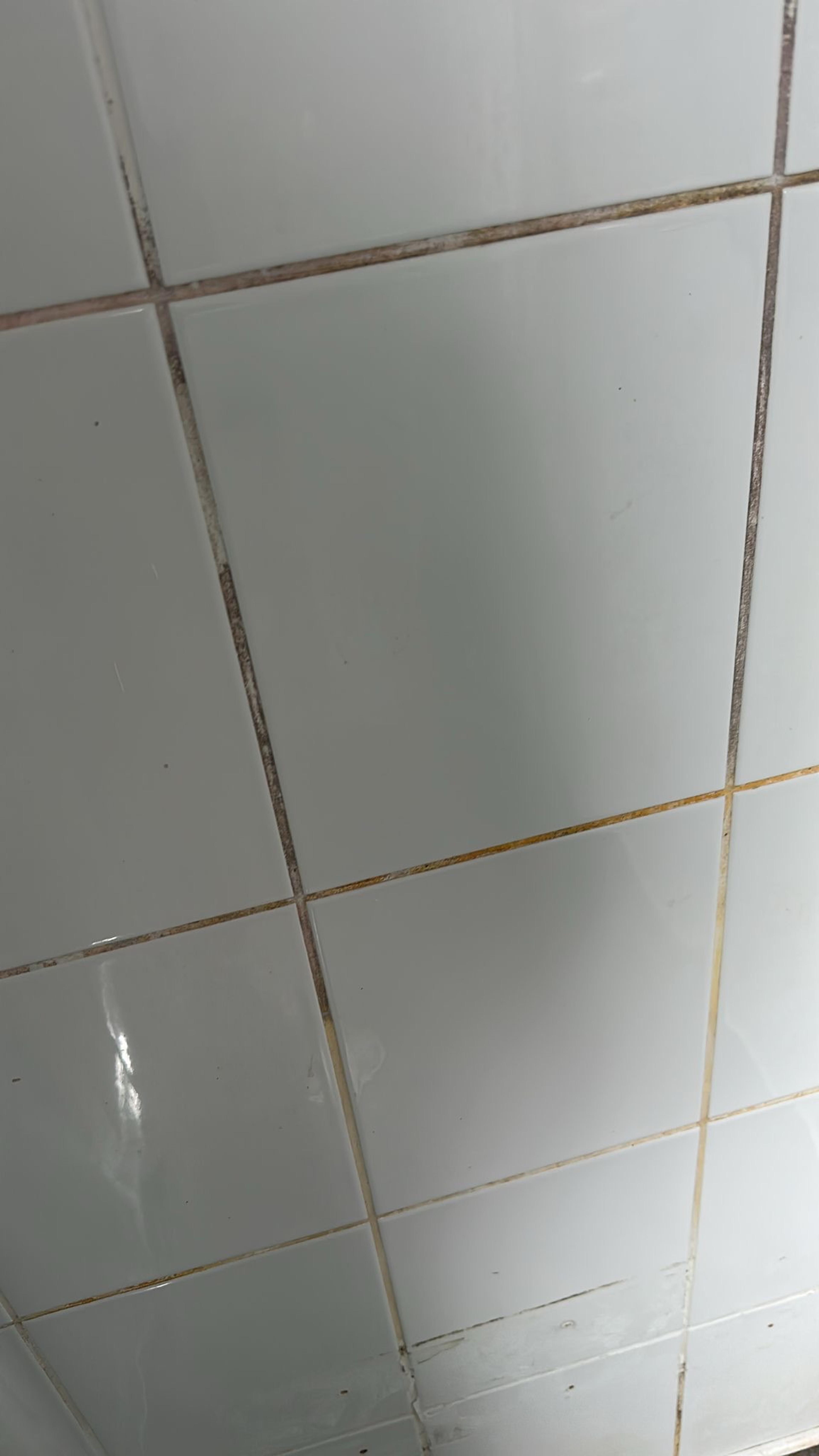 a5081b0e-6827-49a6-831f-ffac2ff42af1.jpeg